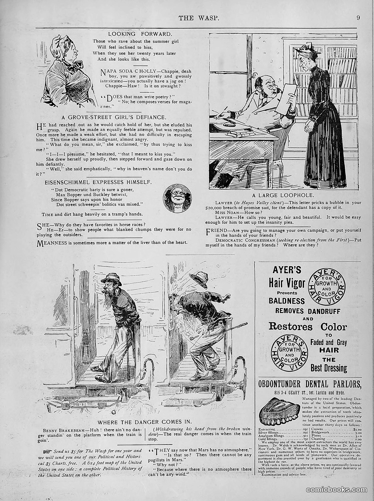 The Wasp — 1894 — page 218 of 524
