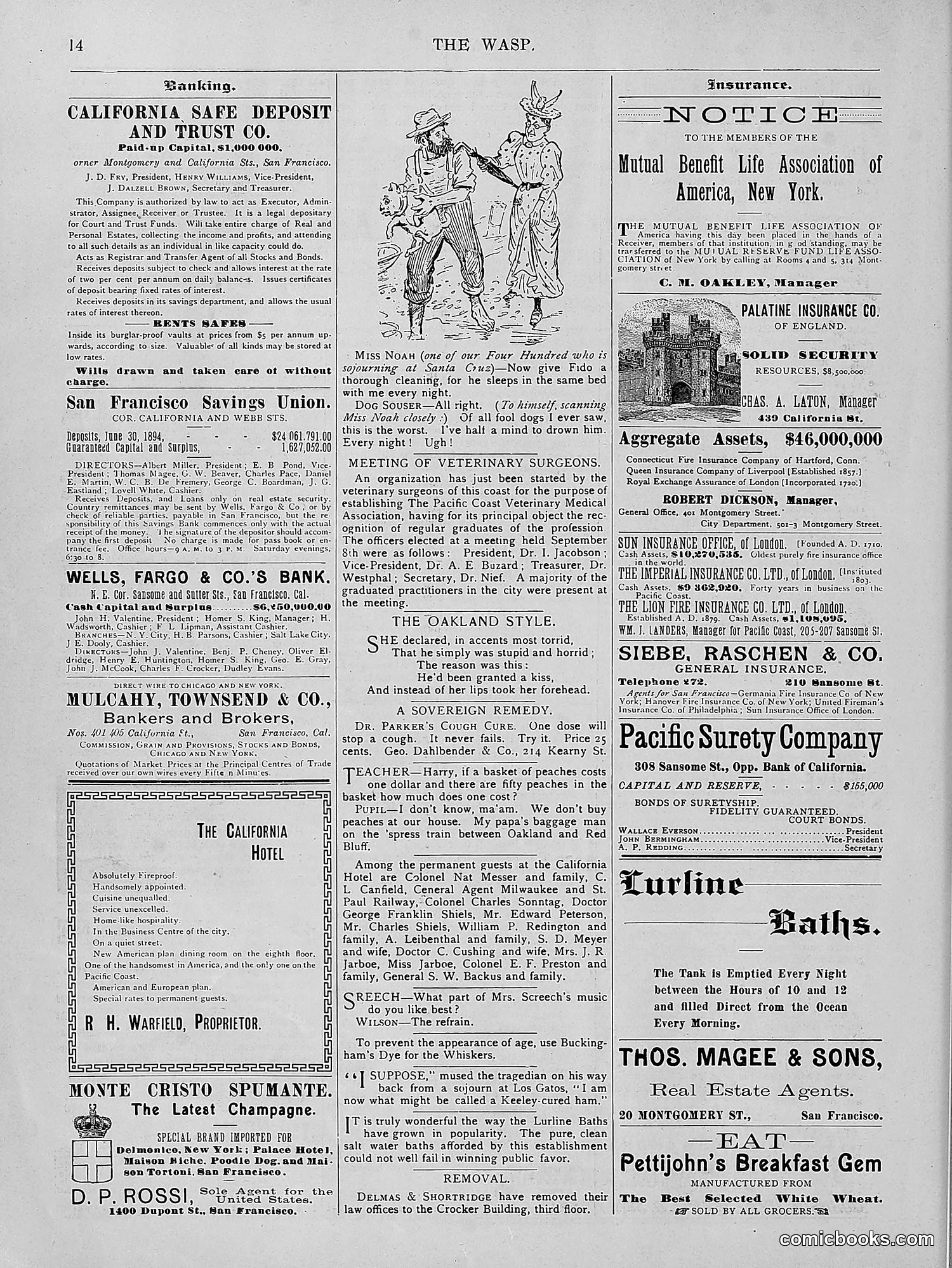 The Wasp — 1894 — page 223 of 524