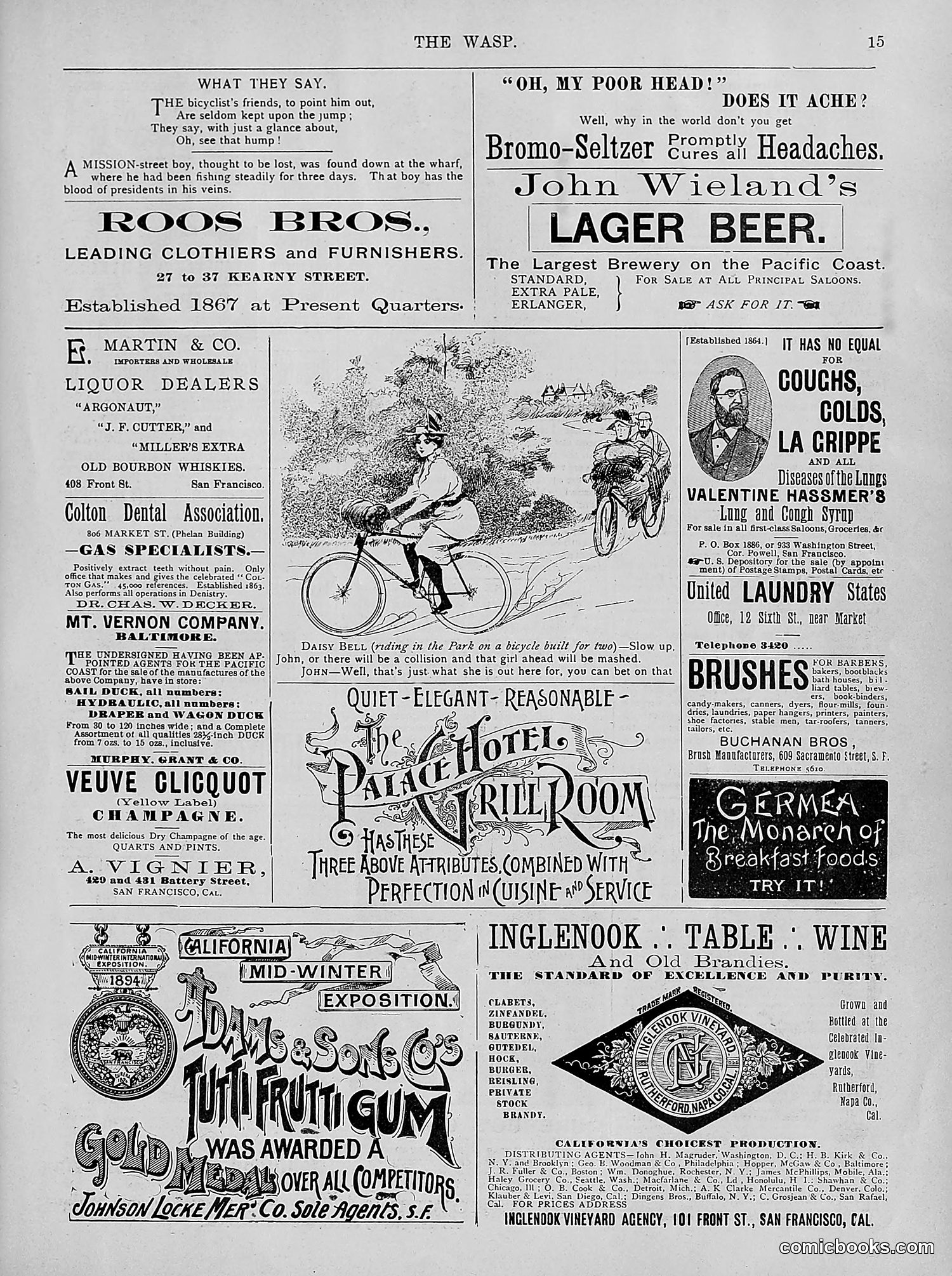 The Wasp — 1894 — page 224 of 524