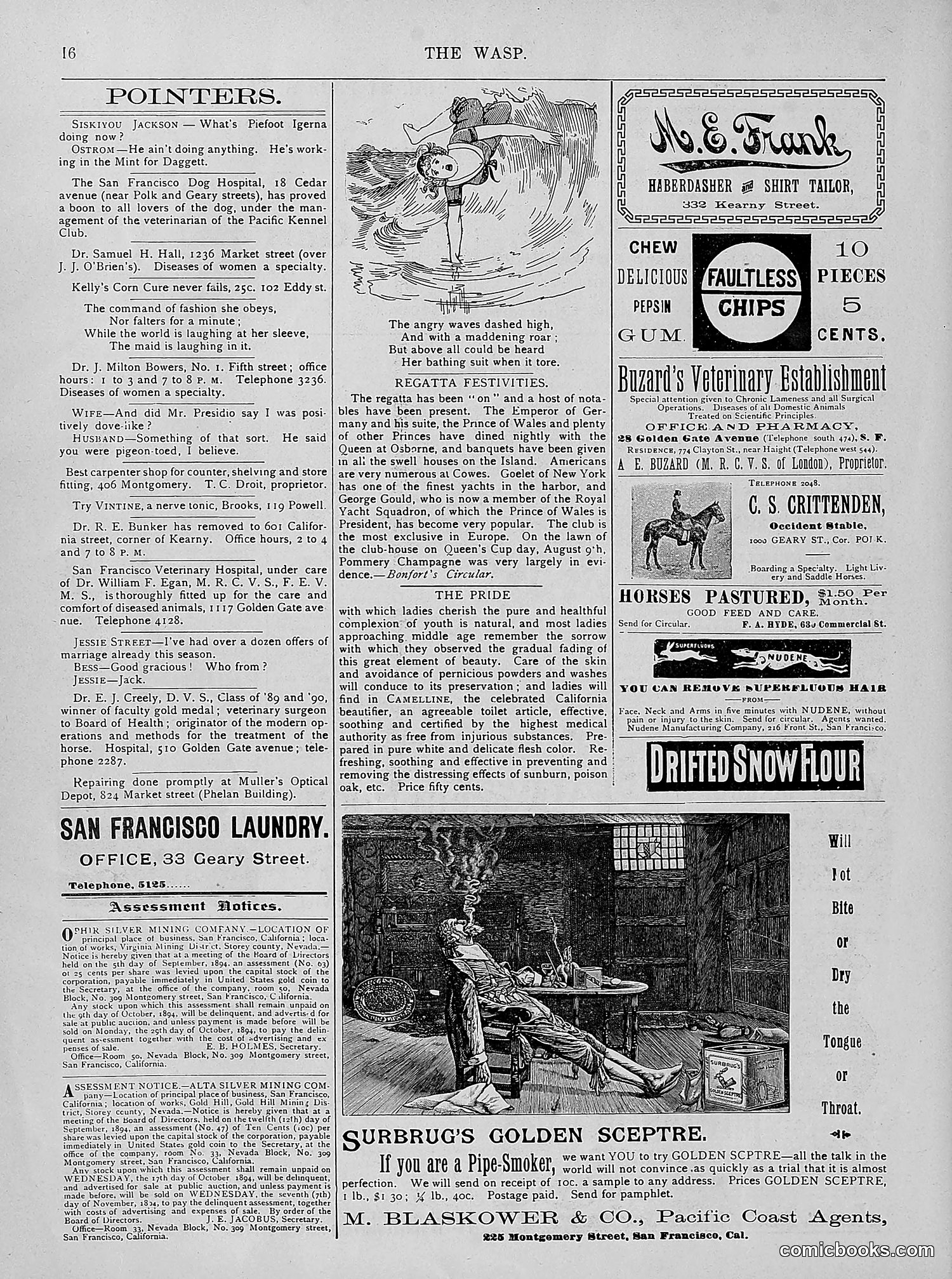 The Wasp — 1894 — page 225 of 524