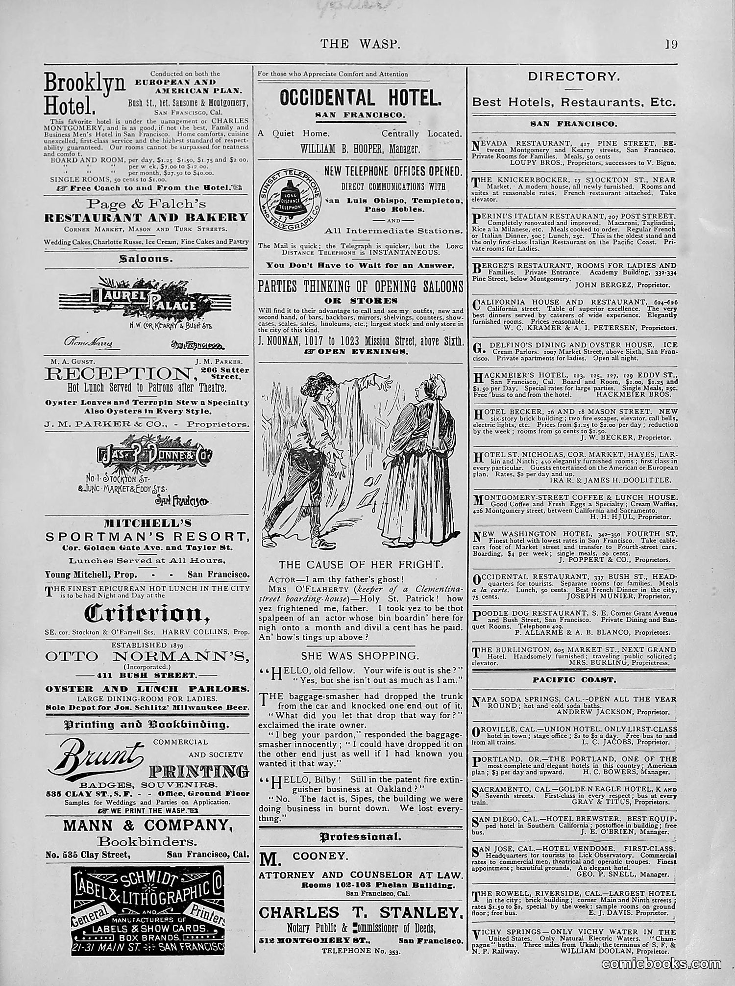 The Wasp — 1894 — page 228 of 524