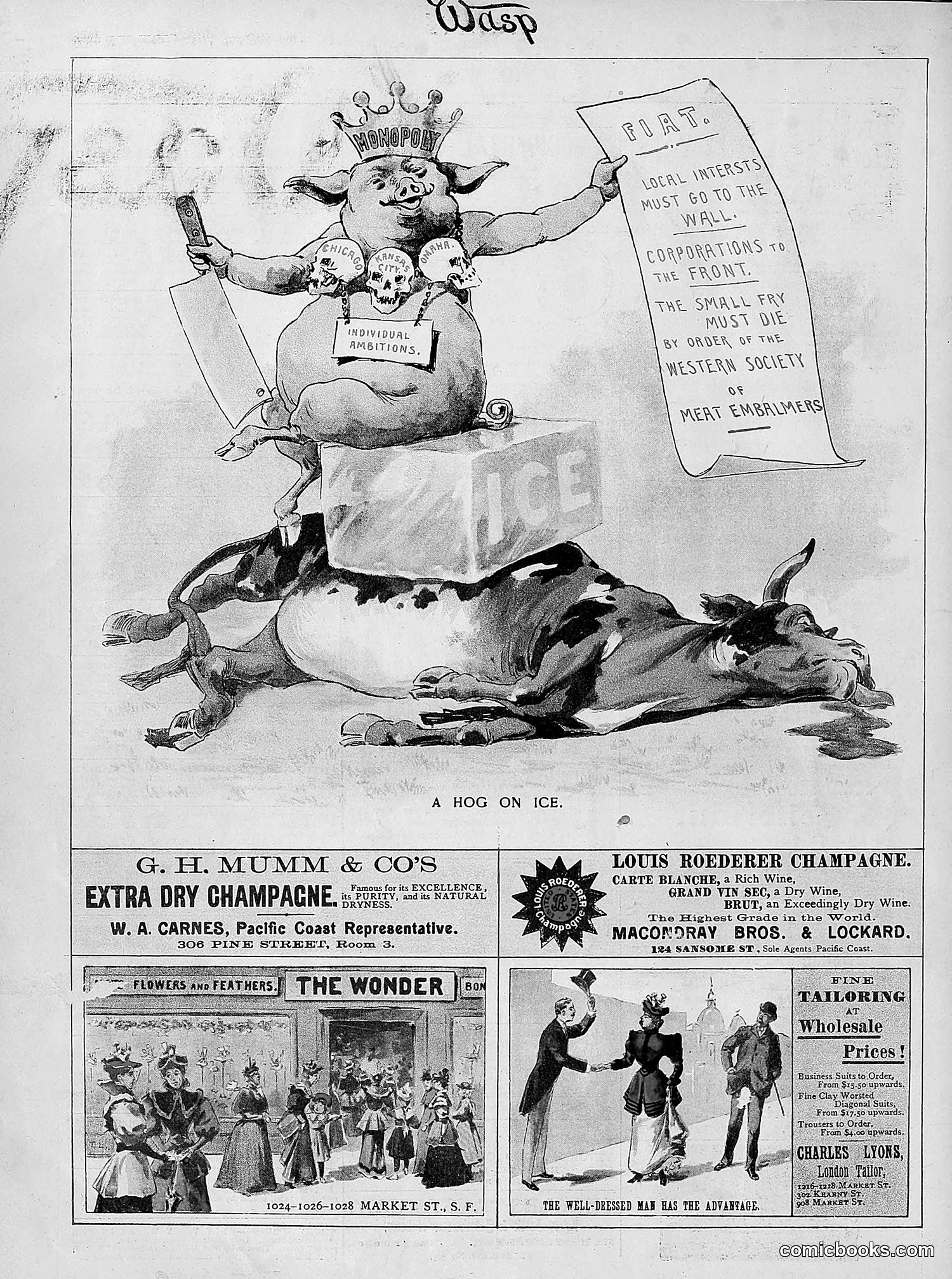 The Wasp — 1894 — page 229 of 524