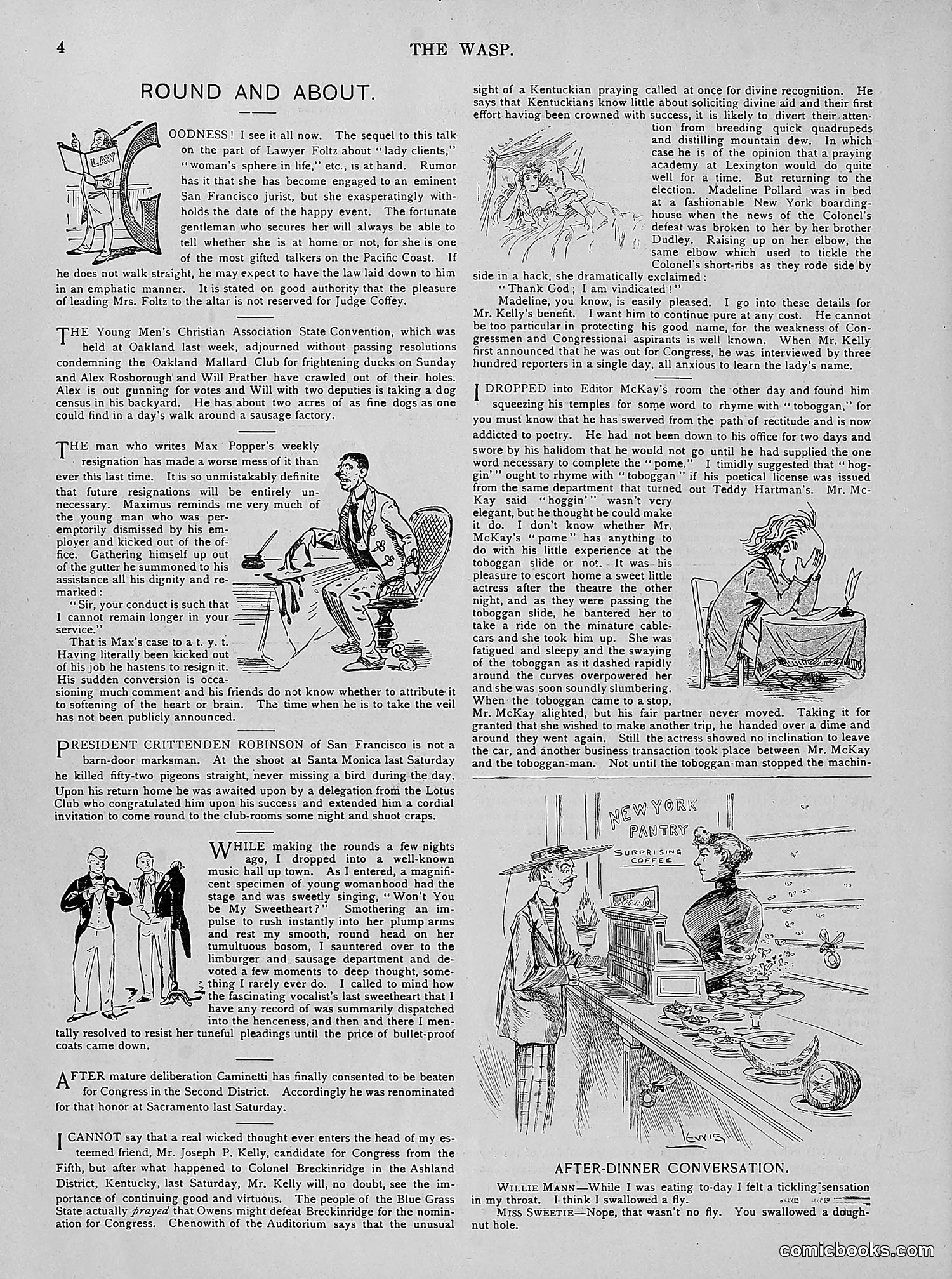 The Wasp — 1894 — page 233 of 524