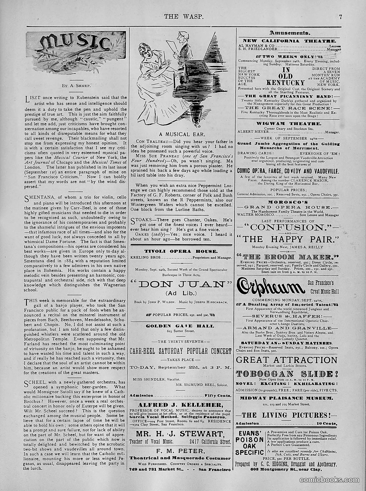 The Wasp — 1894 — page 236 of 524