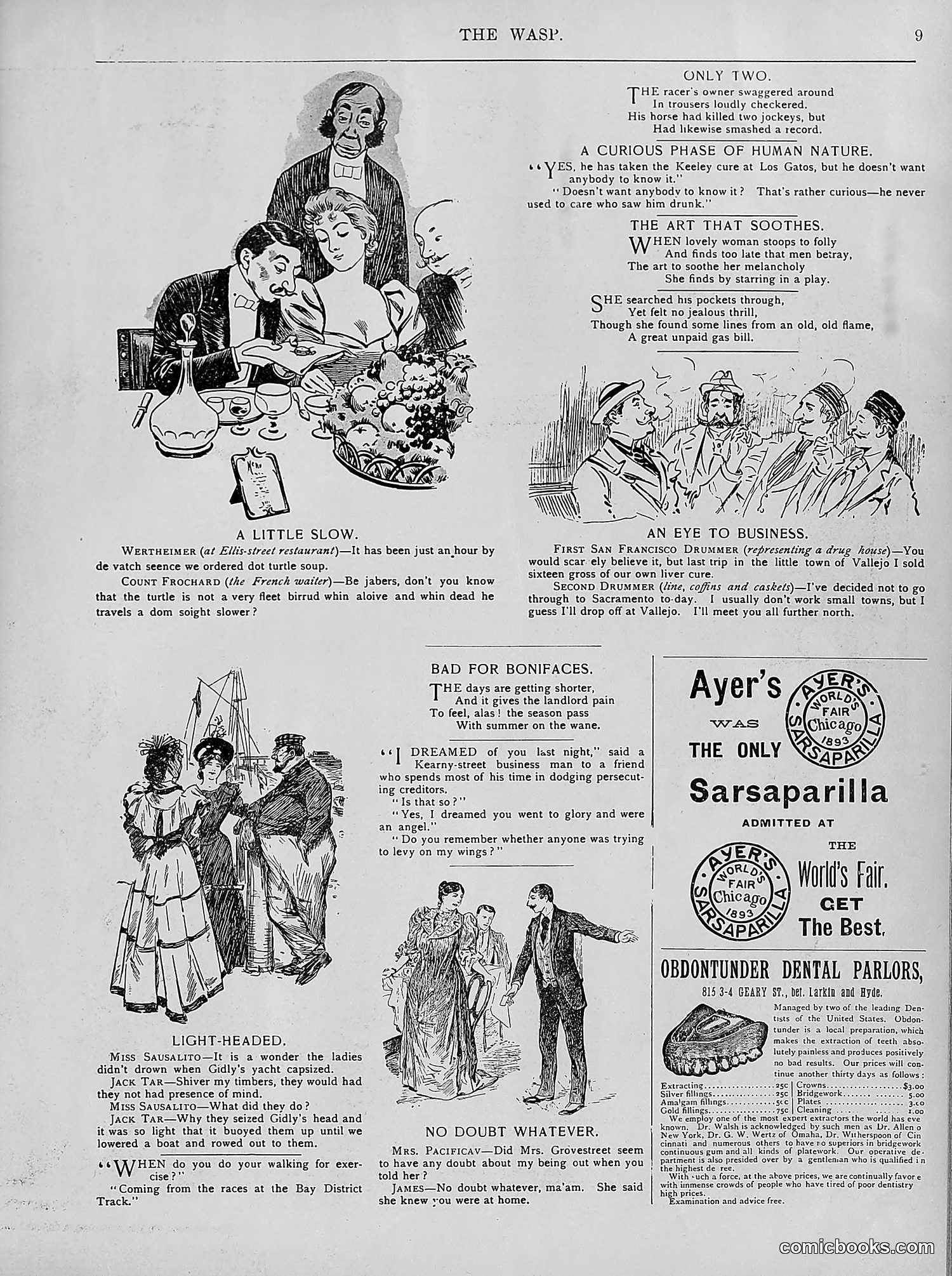 The Wasp — 1894 — page 238 of 524