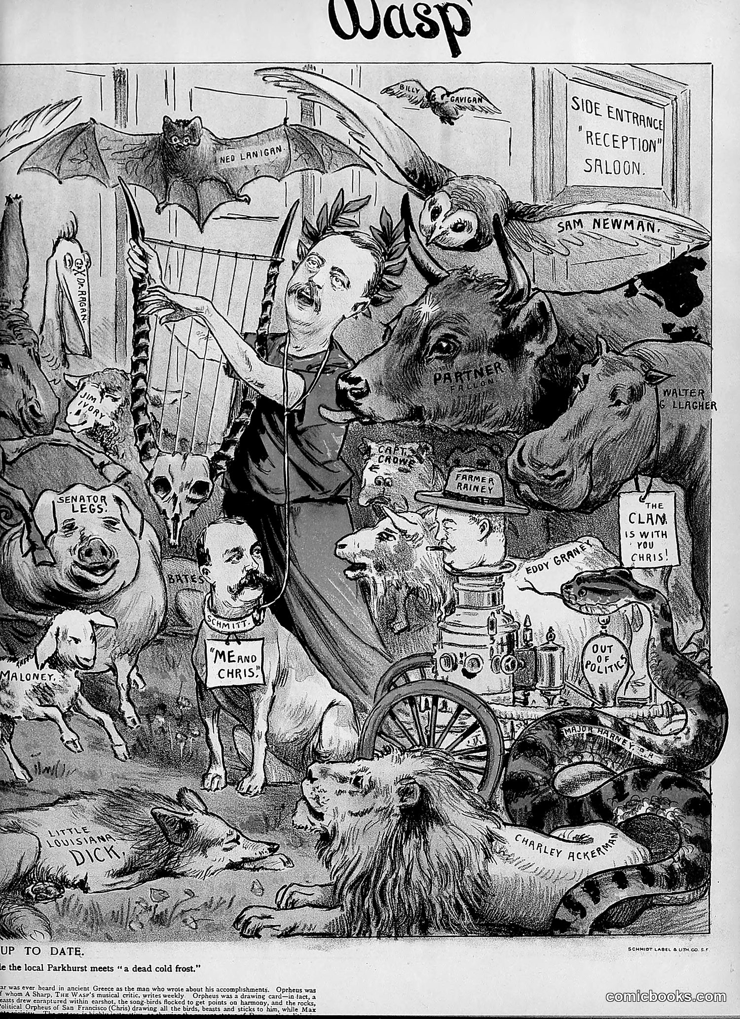 The Wasp — 1894 — page 240 of 524