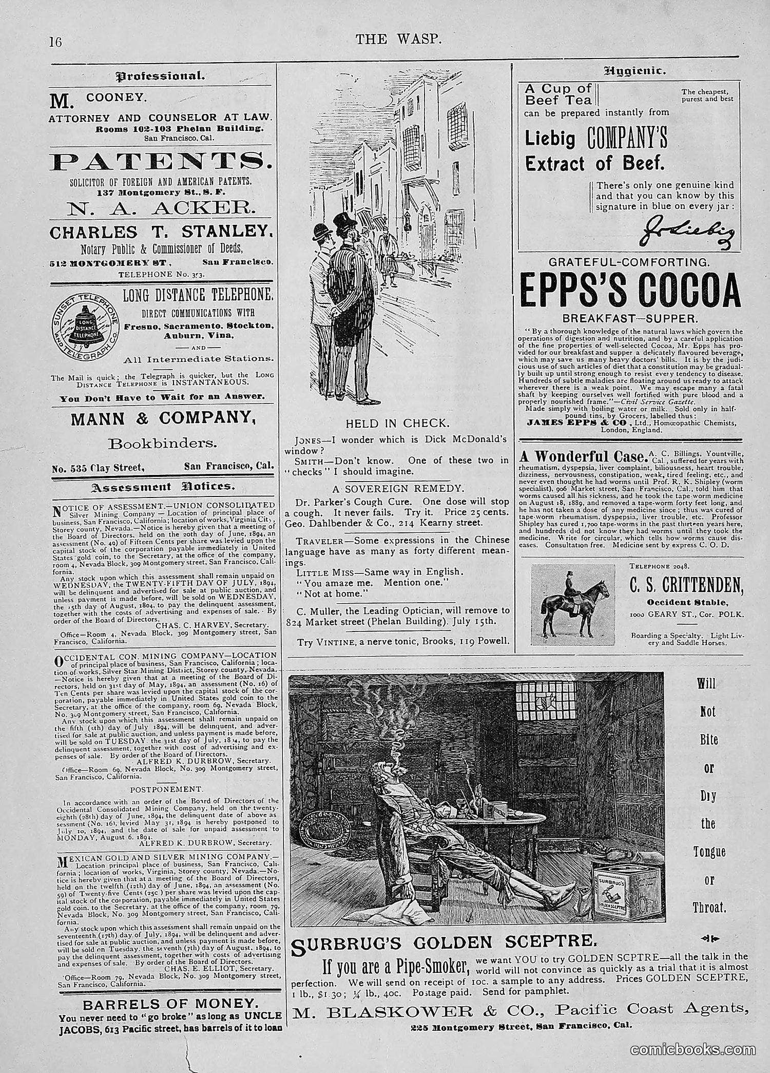 The Wasp — 1894 — page 25 of 524
