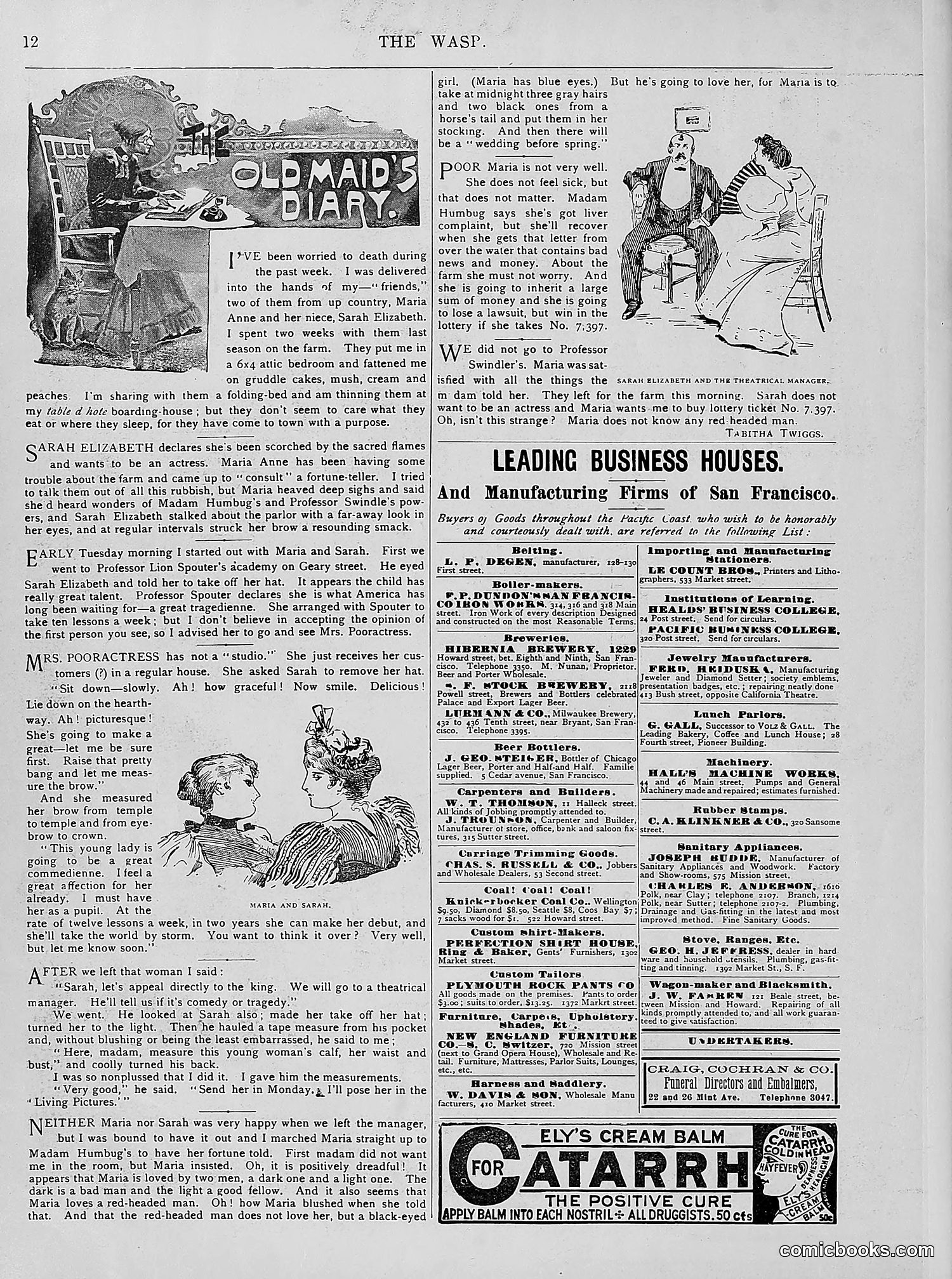 The Wasp — 1894 — page 241 of 524