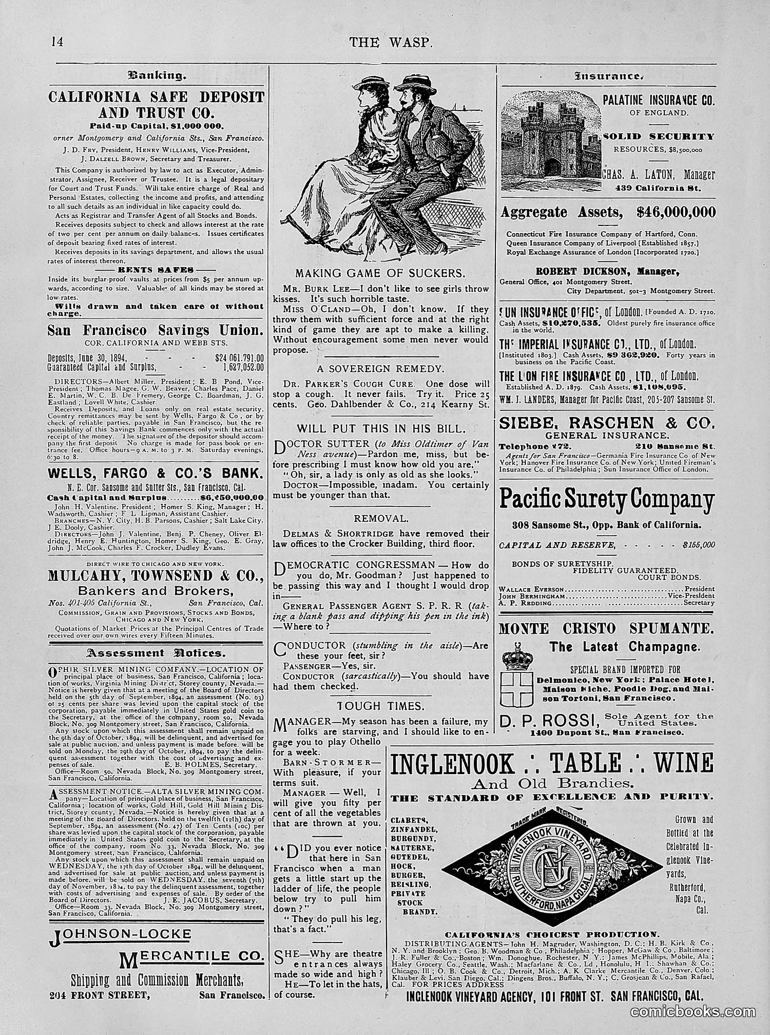 The Wasp — 1894 — page 243 of 524