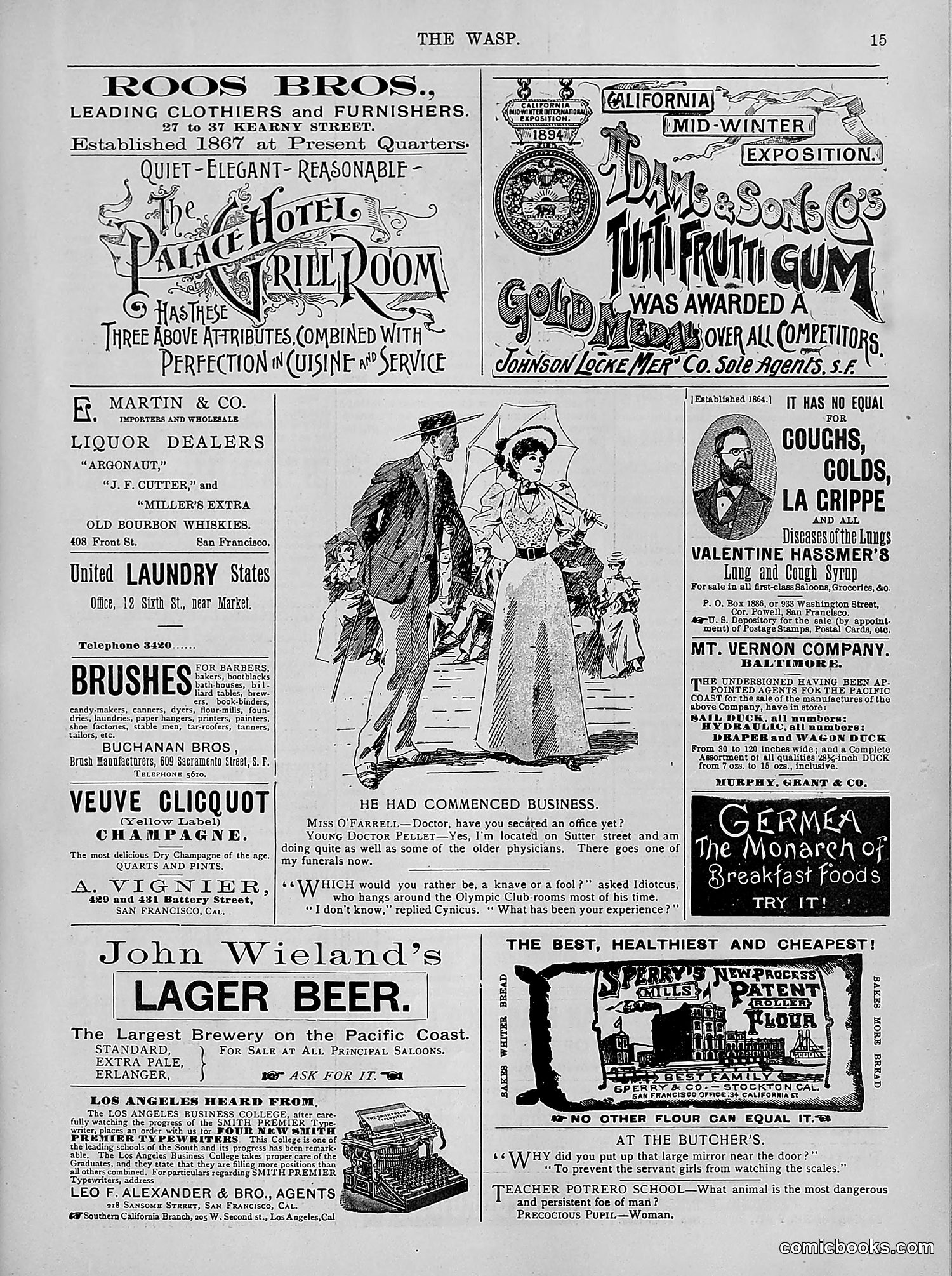 The Wasp — 1894 — page 244 of 524
