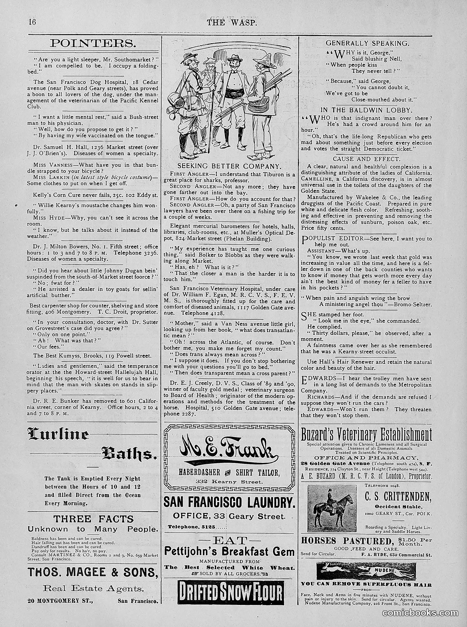 The Wasp — 1894 — page 245 of 524