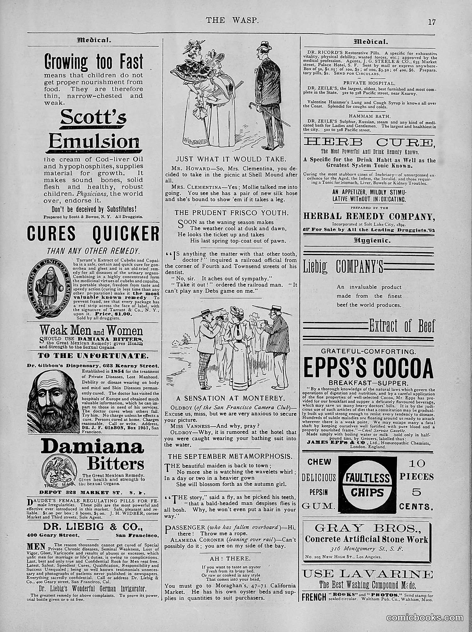 The Wasp — 1894 — page 246 of 524