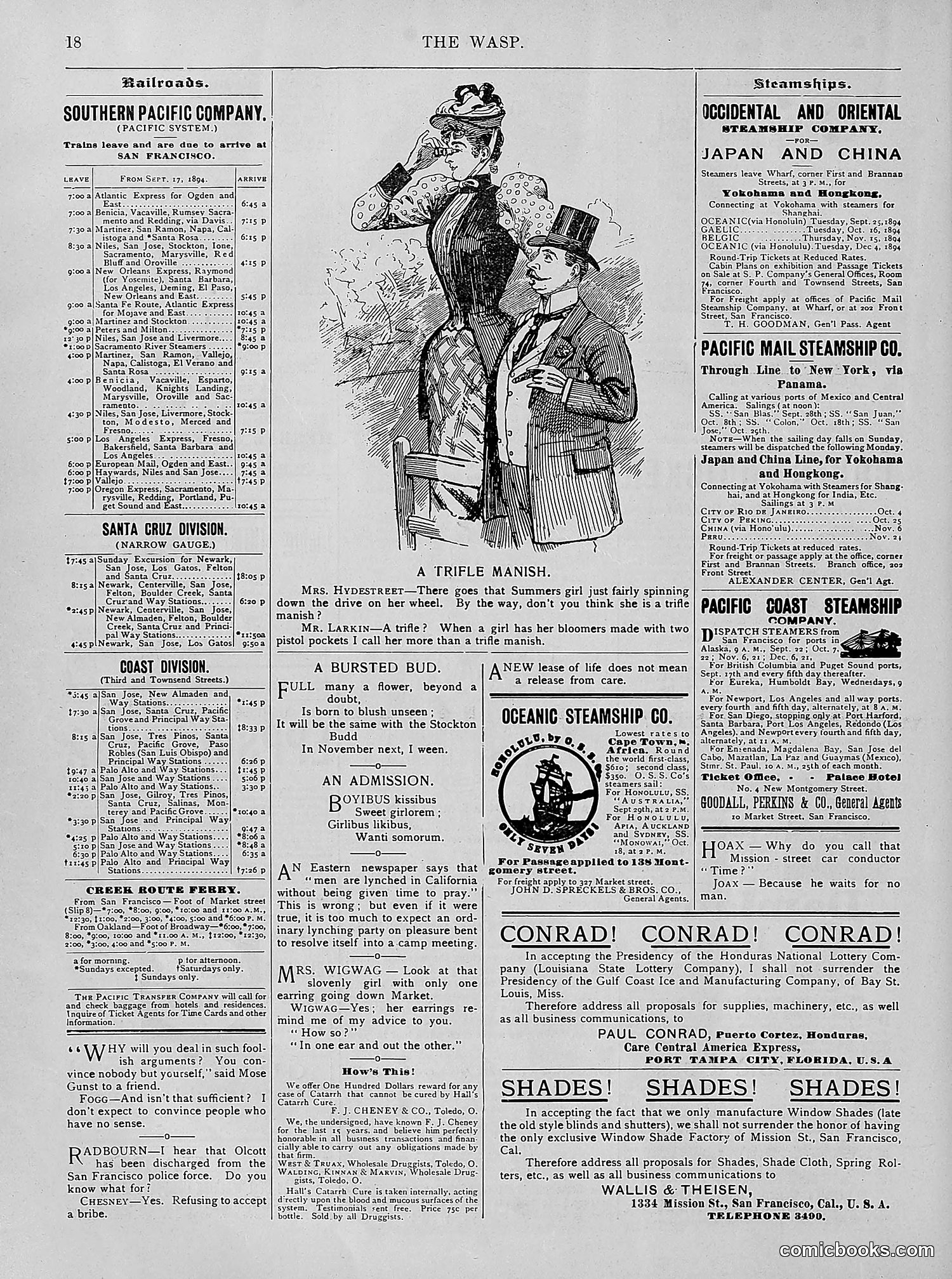 The Wasp — 1894 — page 247 of 524