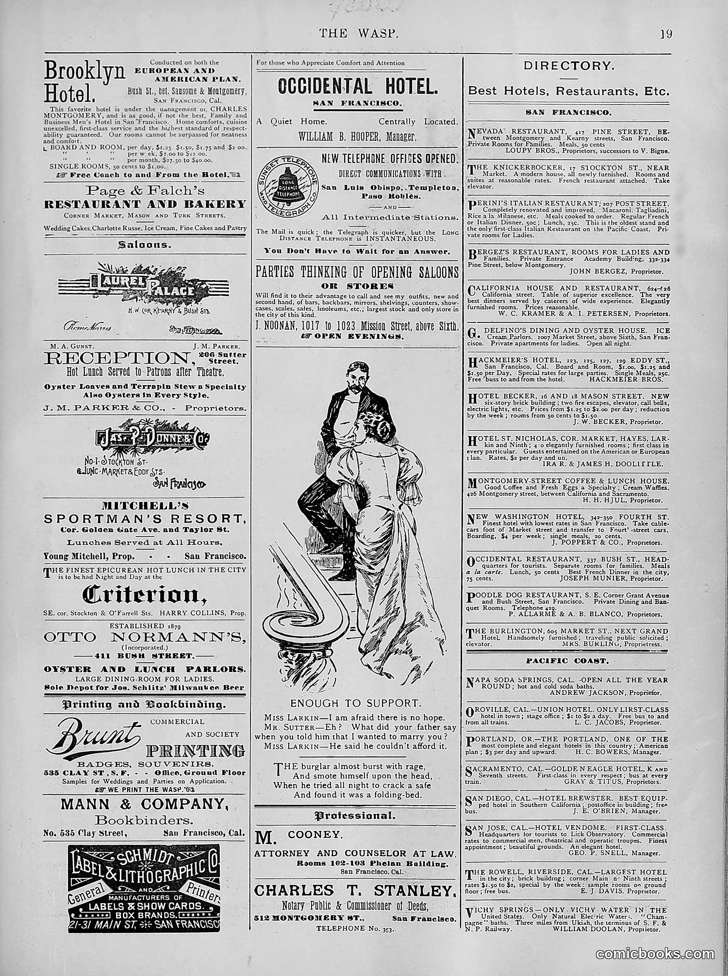 The Wasp — 1894 — page 248 of 524
