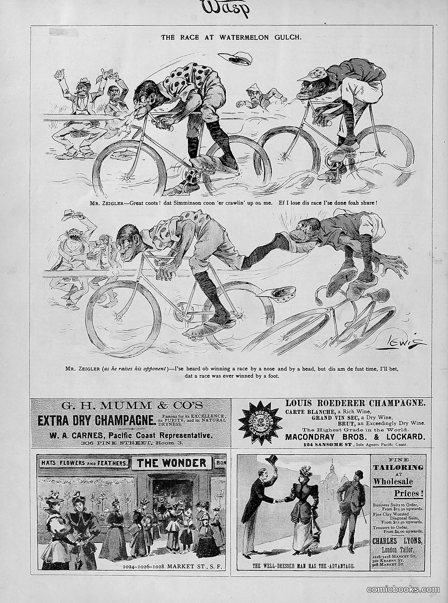 The Wasp — 1894 — page 249 of 524