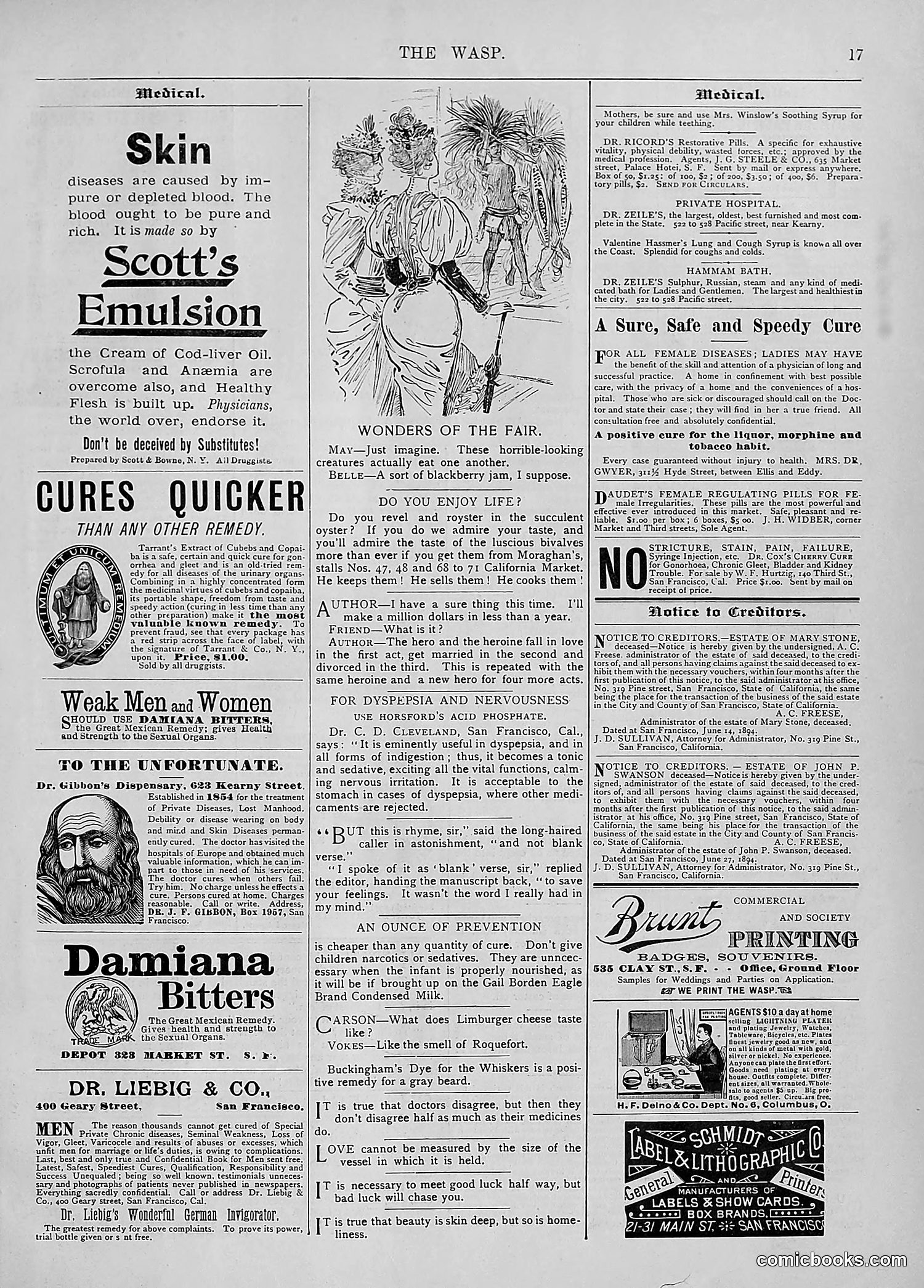 The Wasp — 1894 — page 26 of 524