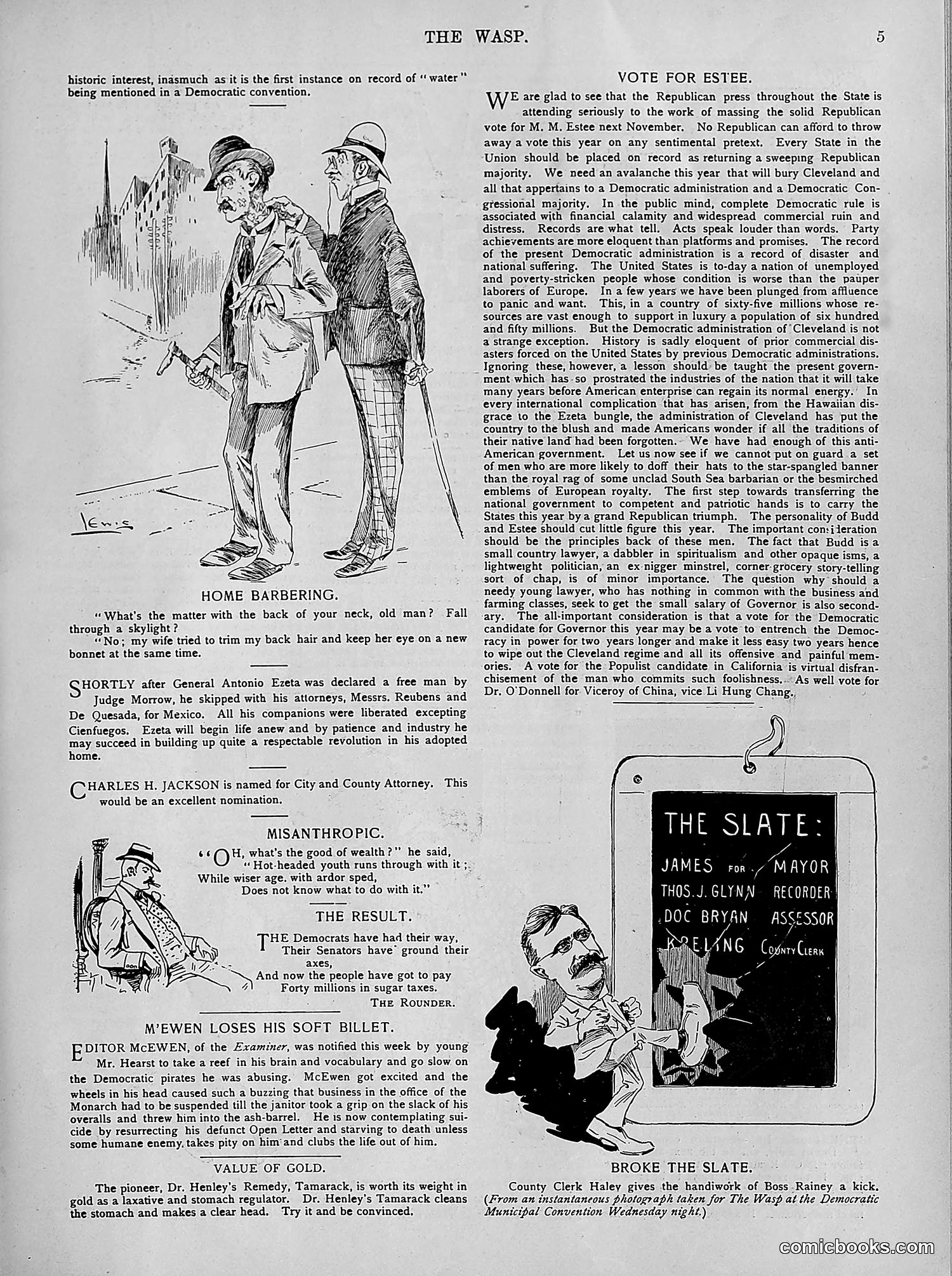 The Wasp — 1894 — page 254 of 524
