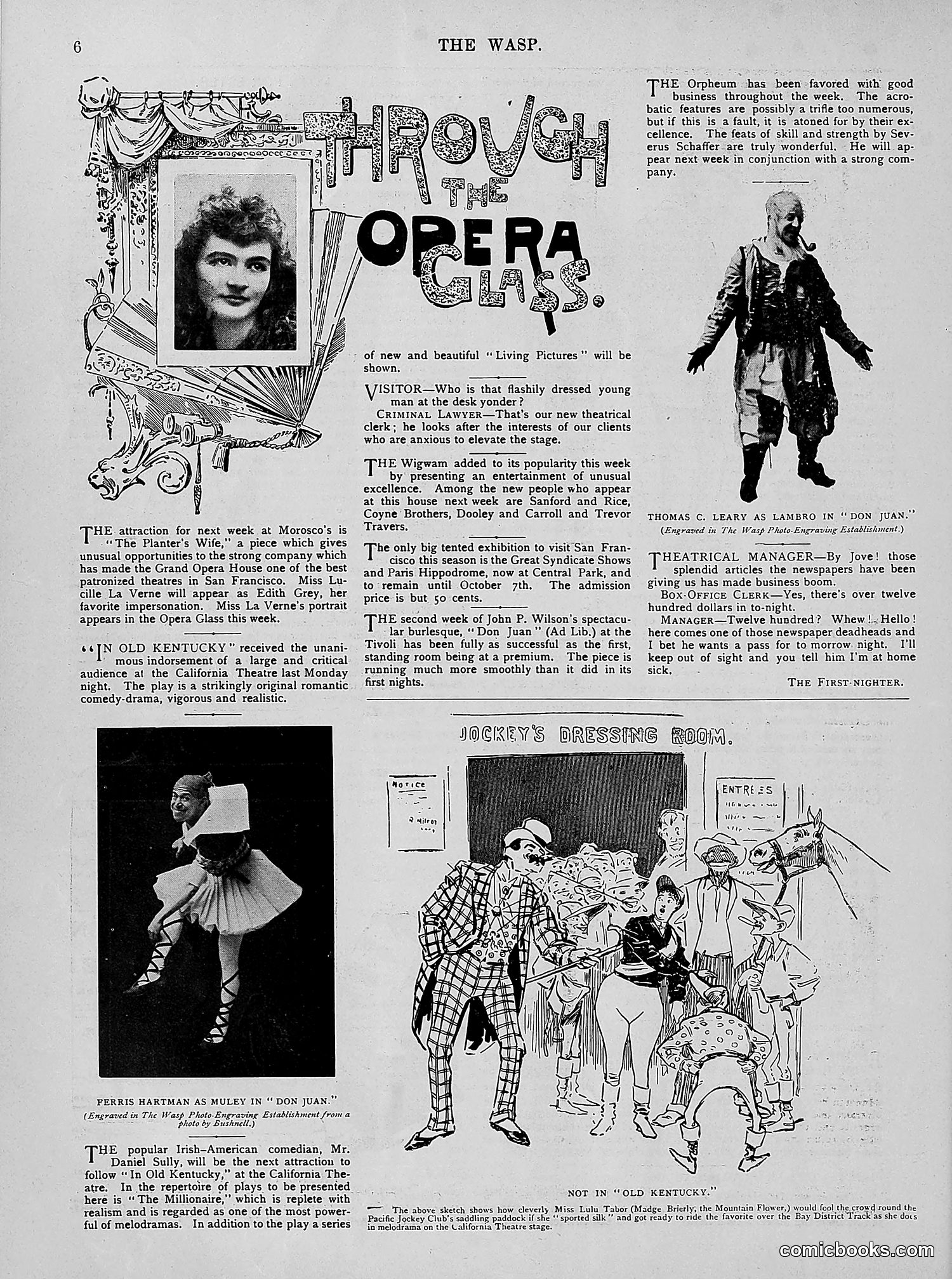 The Wasp — 1894 — page 255 of 524