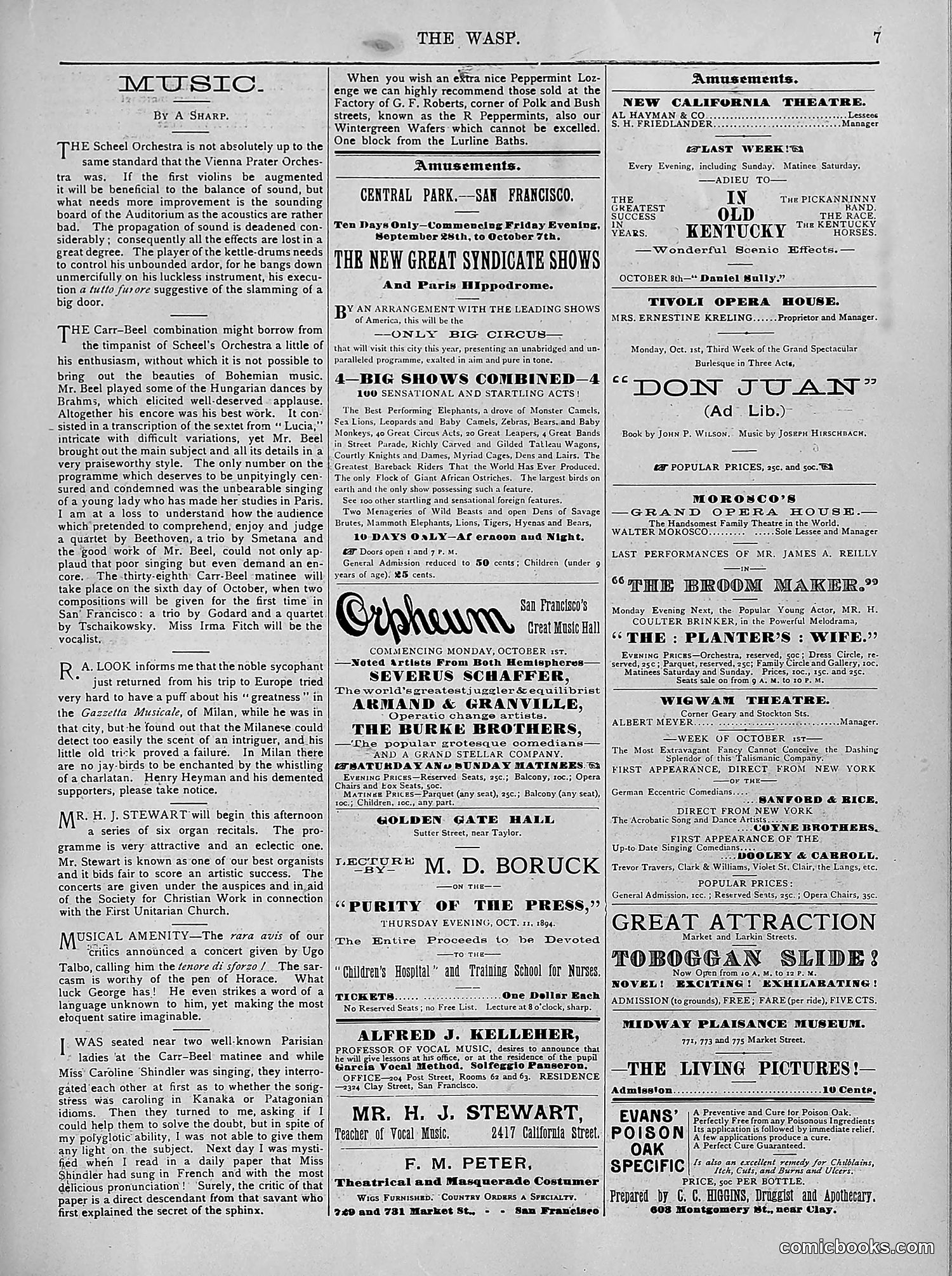 The Wasp — 1894 — page 256 of 524