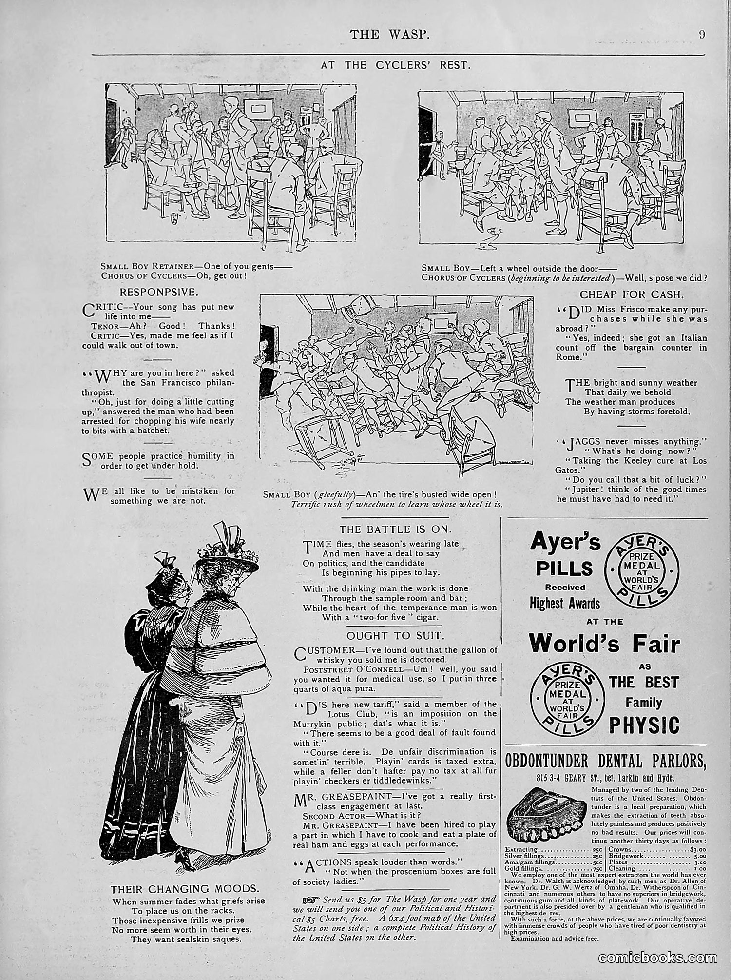 The Wasp — 1894 — page 258 of 524