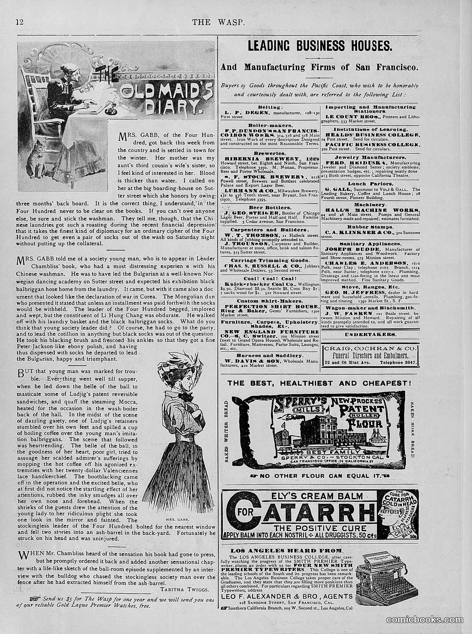 The Wasp — 1894 — page 261 of 524