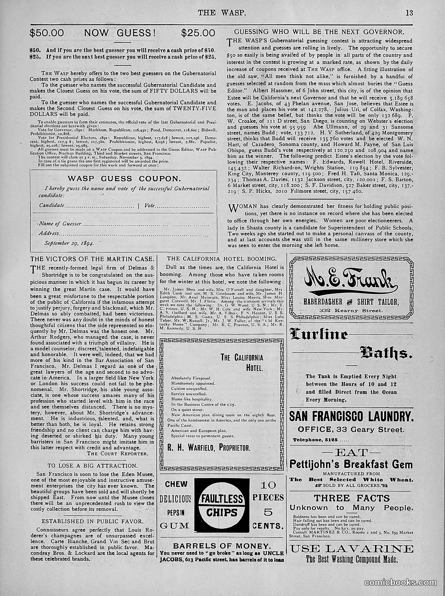 The Wasp — 1894 — page 262 of 524