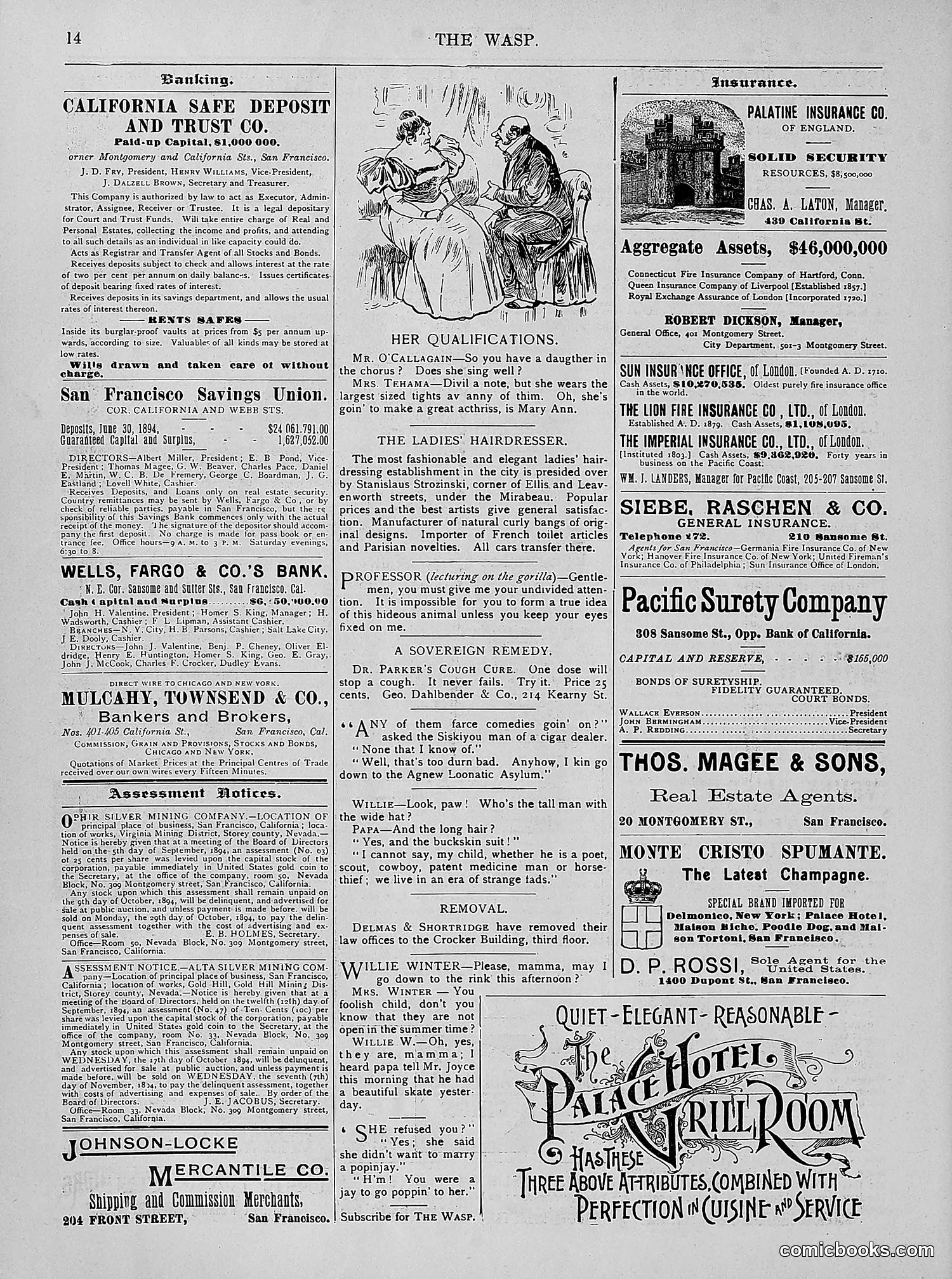 The Wasp — 1894 — page 263 of 524