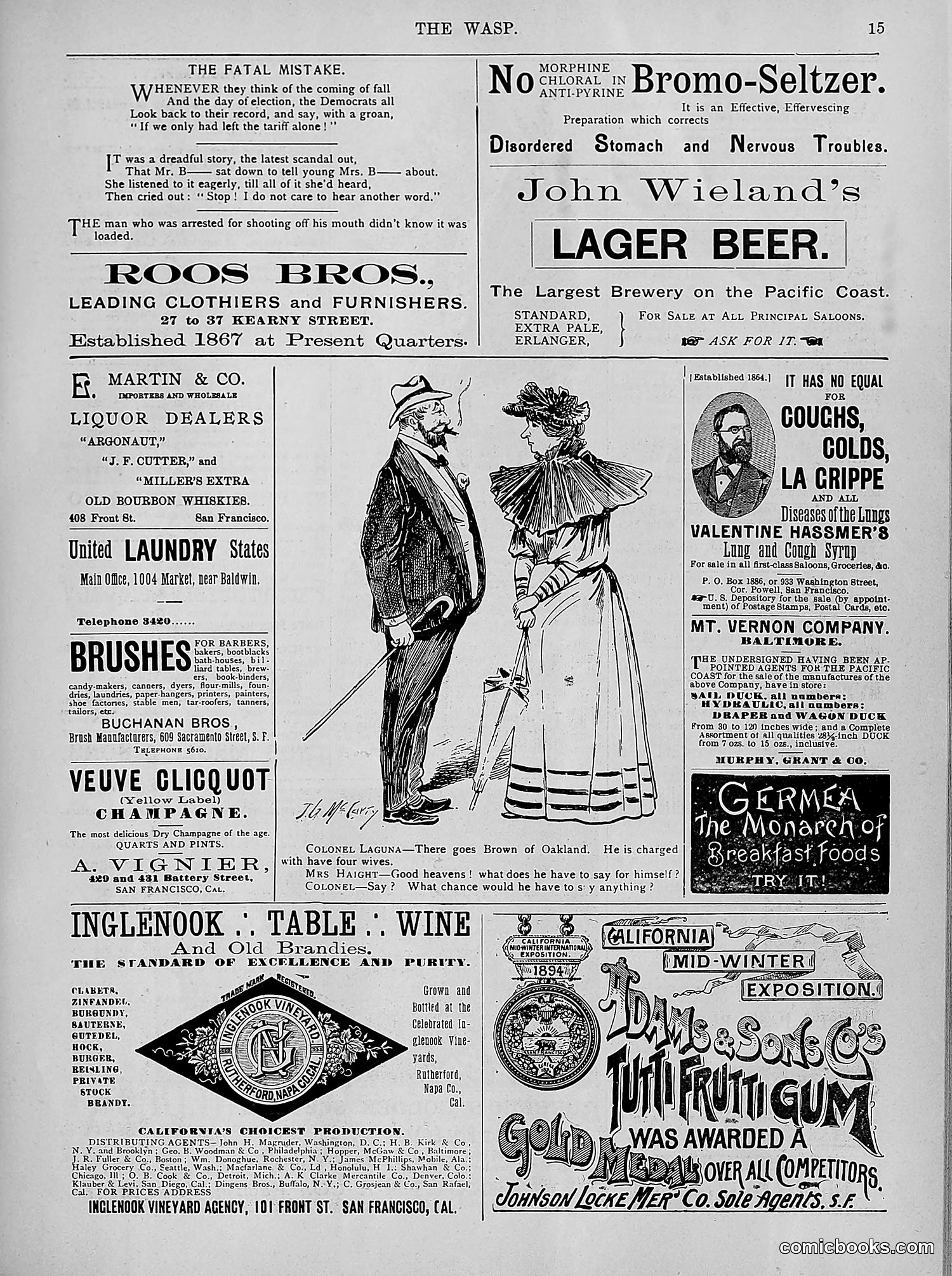 The Wasp — 1894 — page 264 of 524