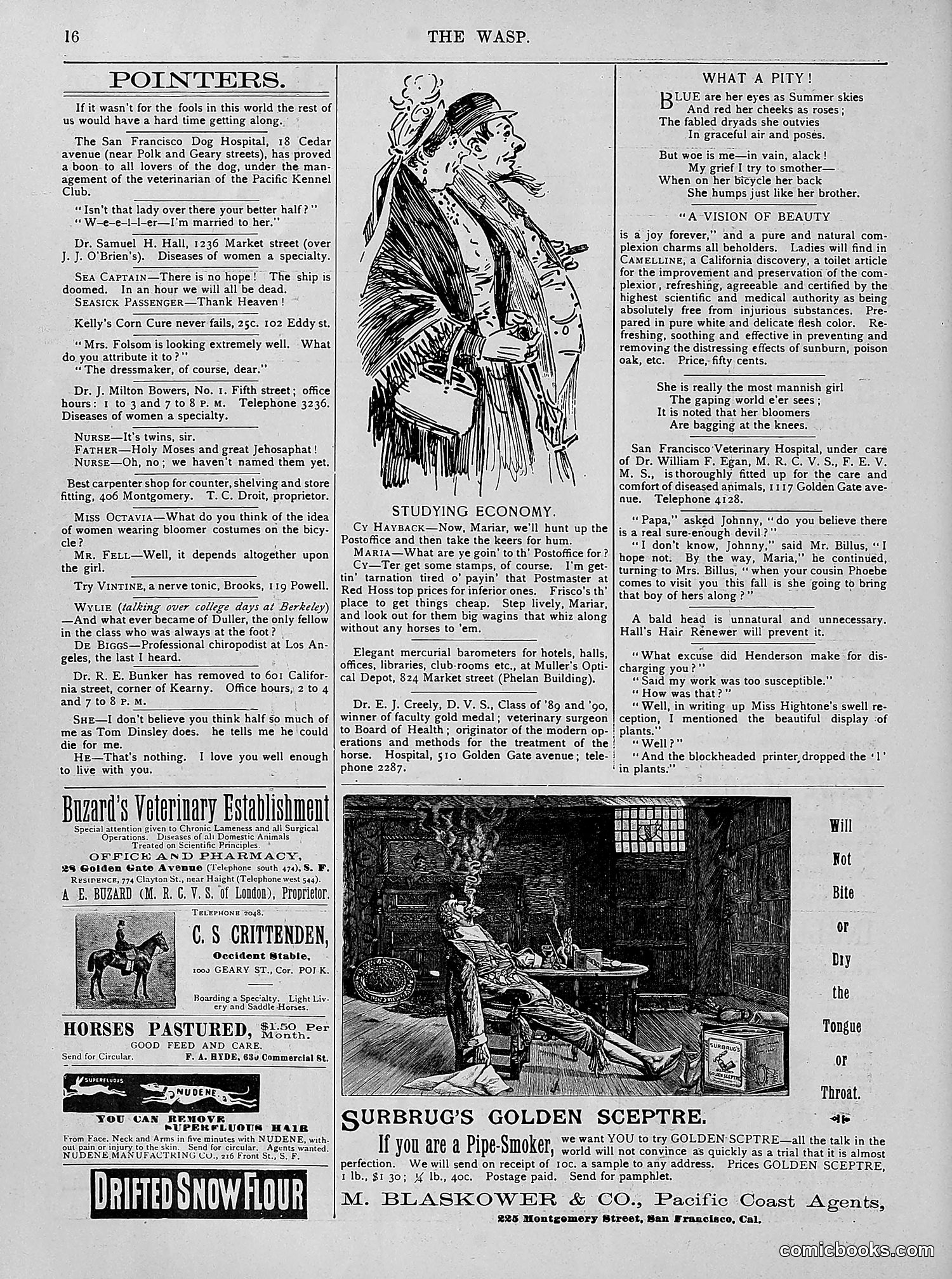The Wasp — 1894 — page 265 of 524
