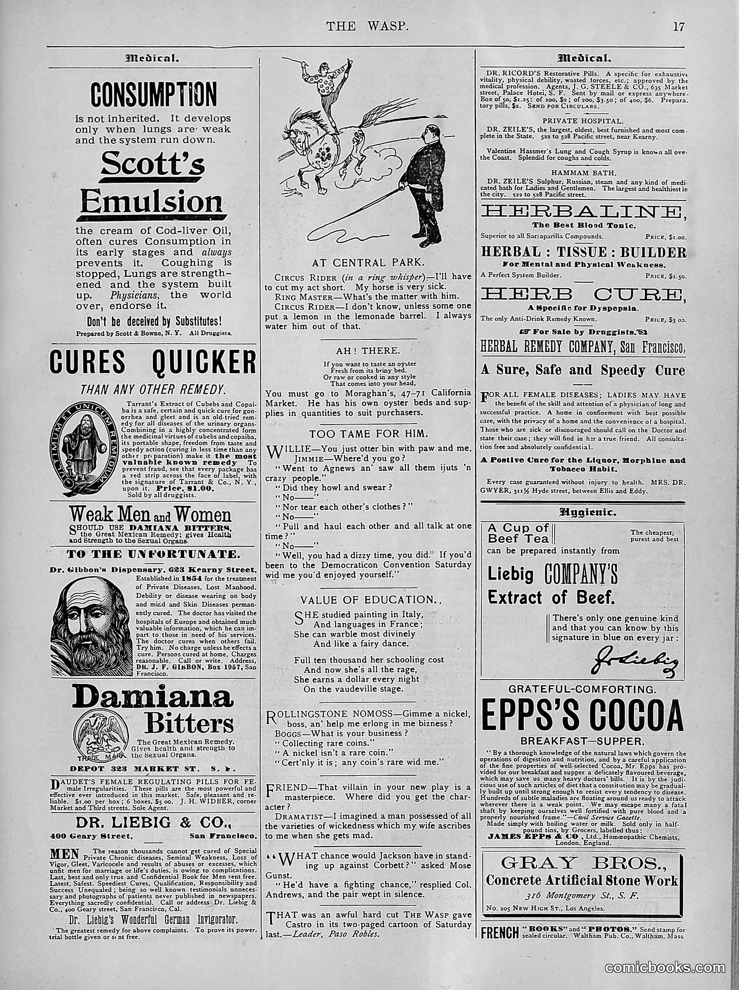The Wasp — 1894 — page 266 of 524
