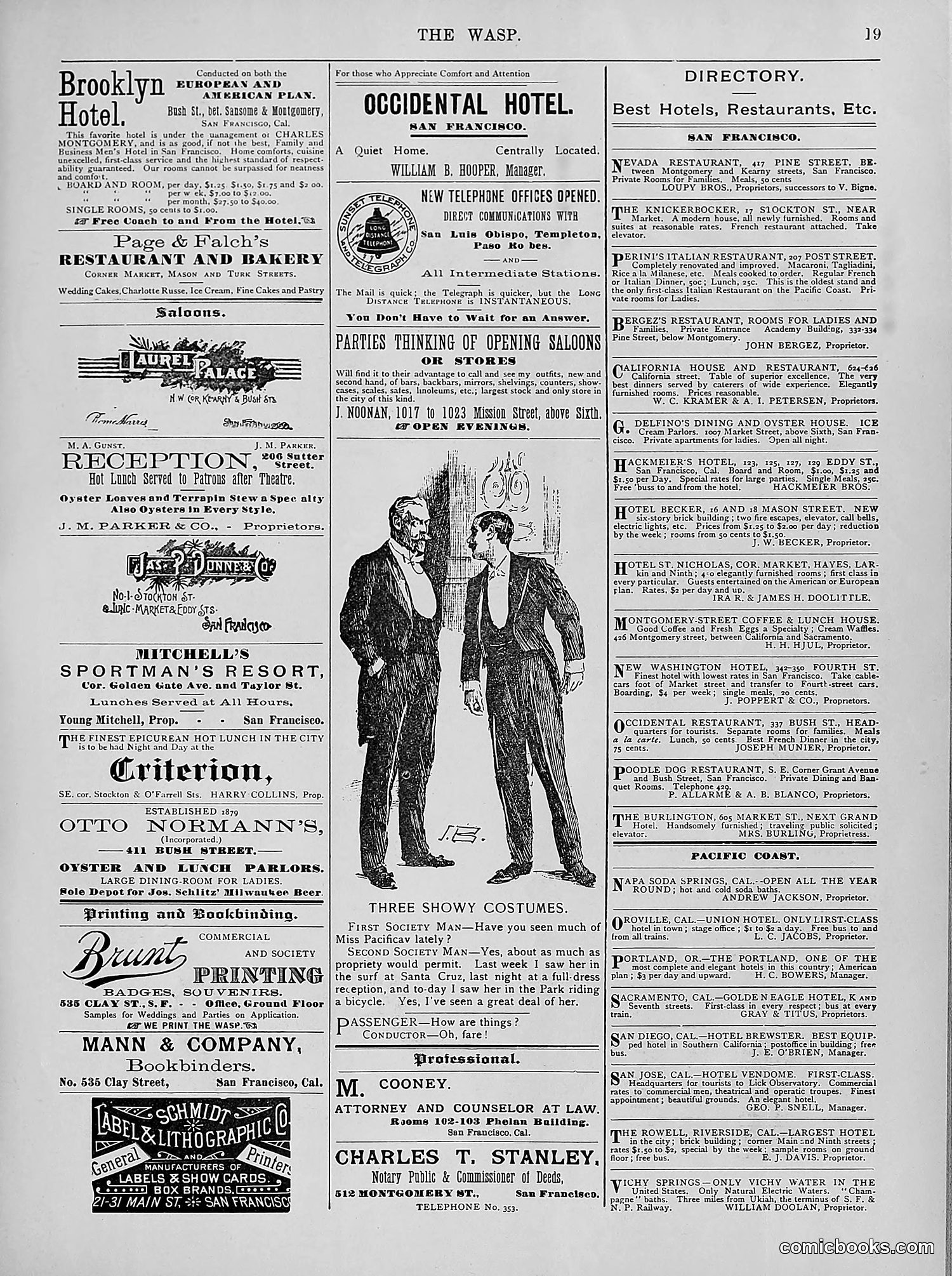 The Wasp — 1894 — page 268 of 524