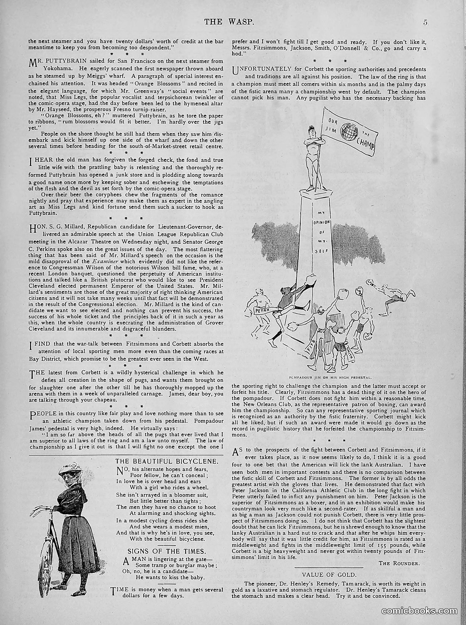 The Wasp — 1894 — page 274 of 524
