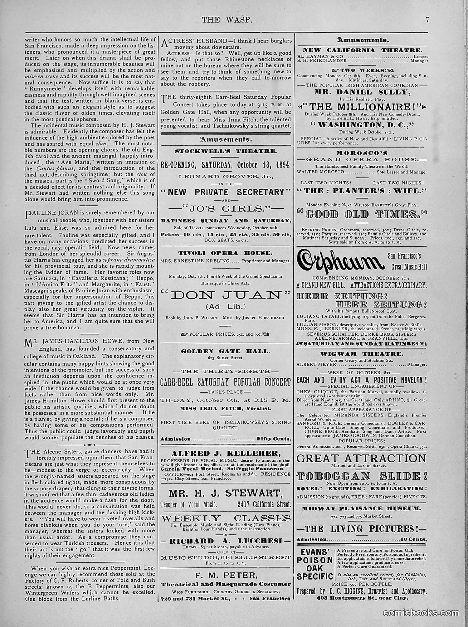 The Wasp — 1894 — page 276 of 524