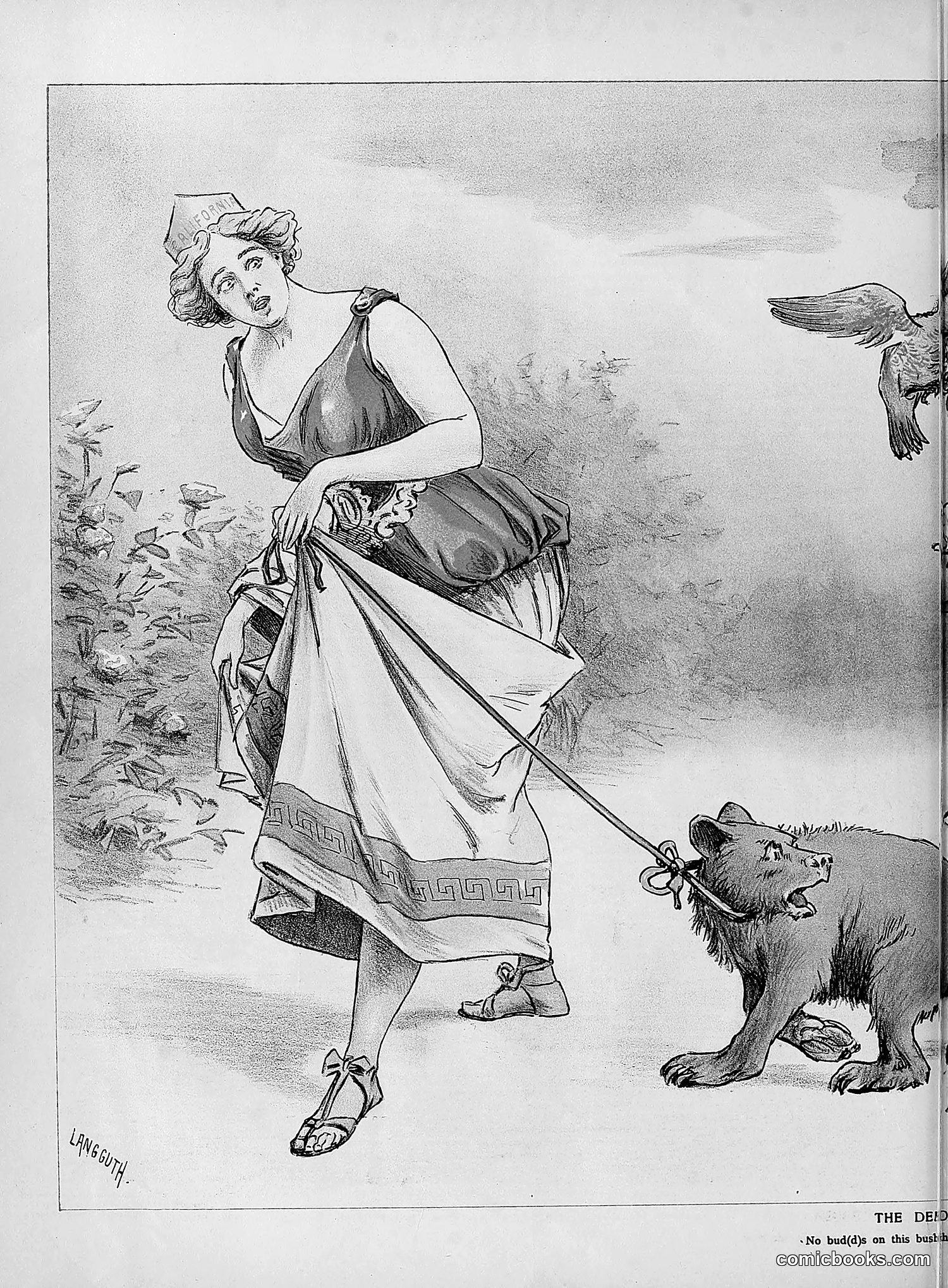 The Wasp — 1894 — page 279 of 524