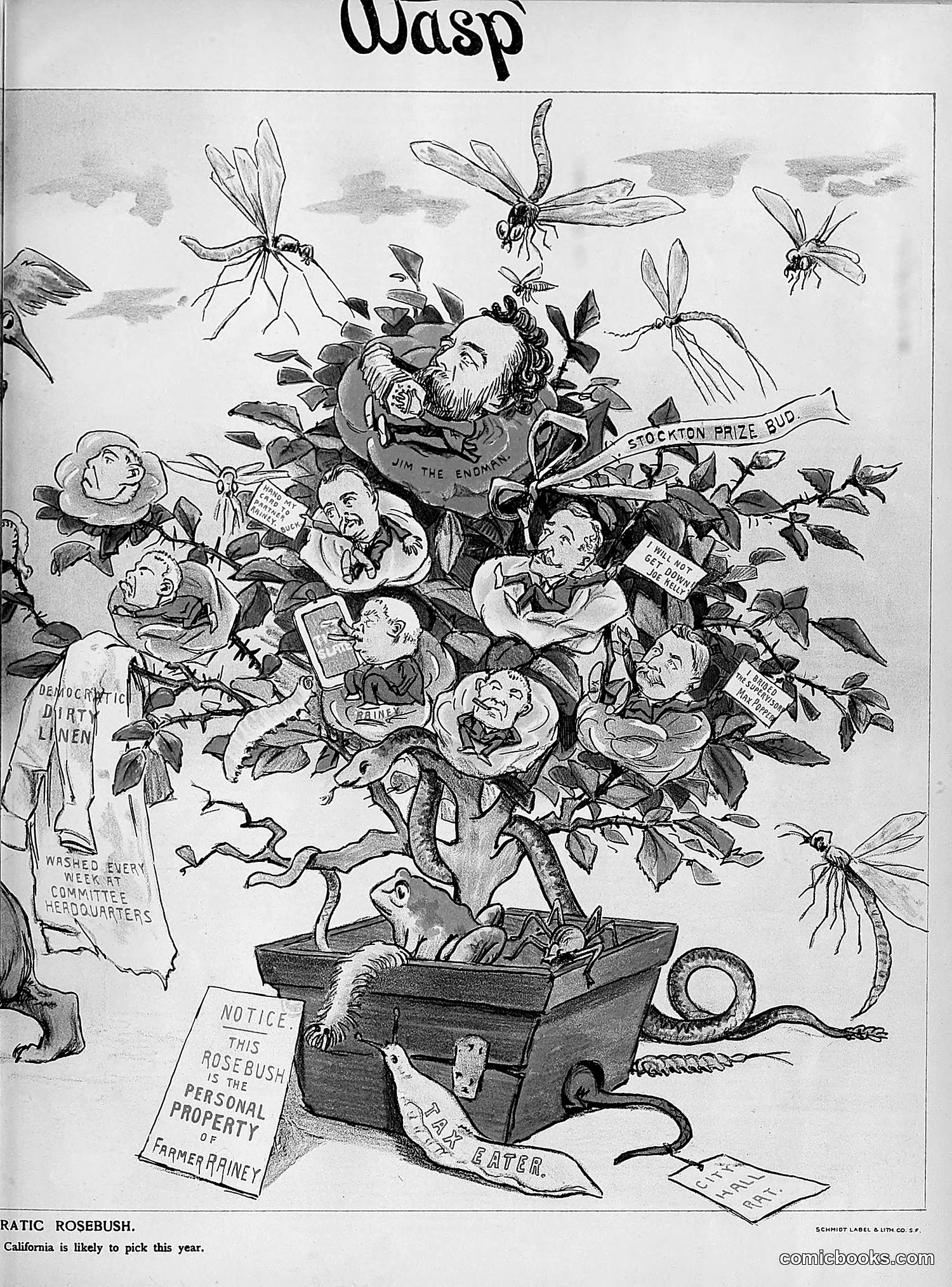 The Wasp — 1894 — page 280 of 524