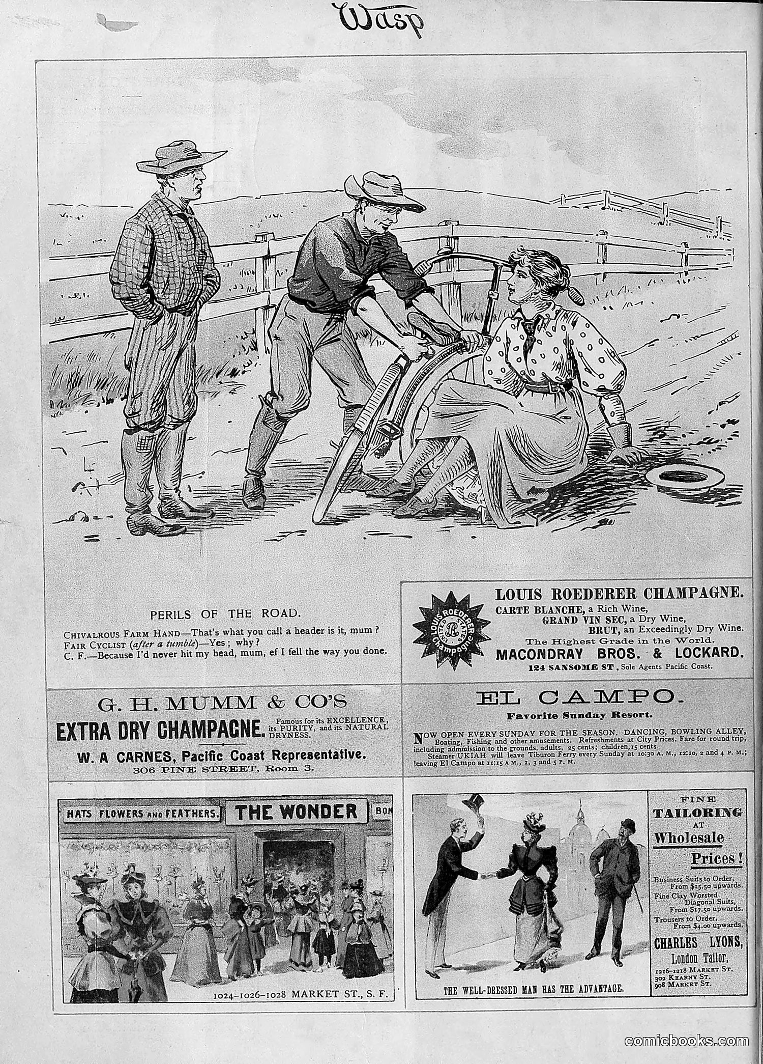 The Wasp — 1894 — page 29 of 524