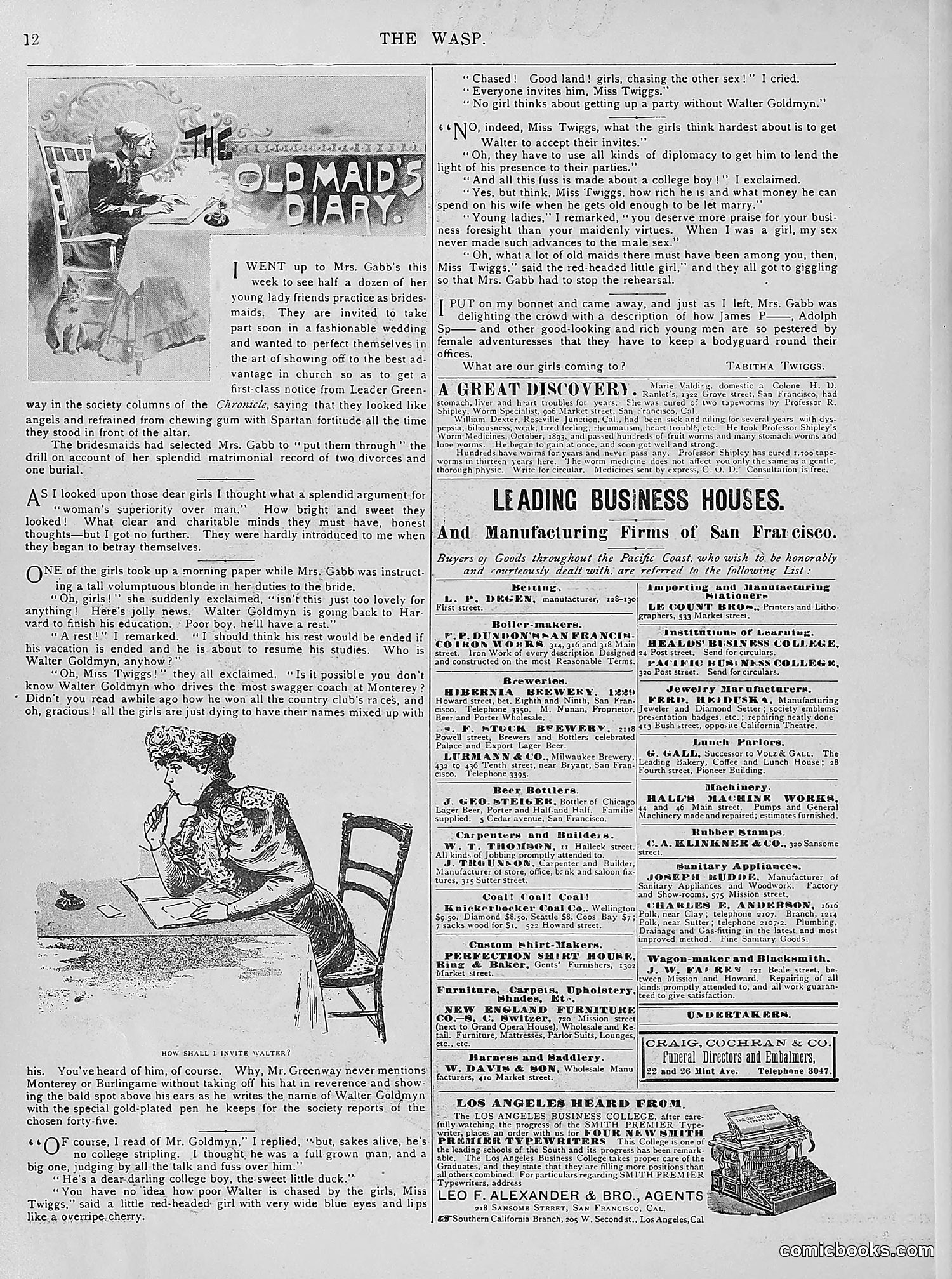 The Wasp — 1894 — page 281 of 524