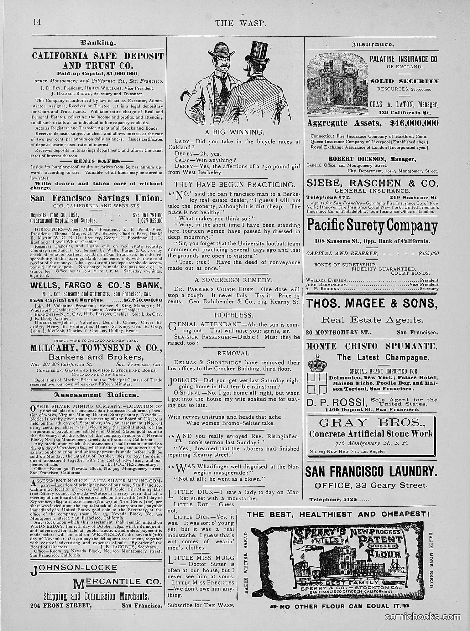 The Wasp — 1894 — page 283 of 524