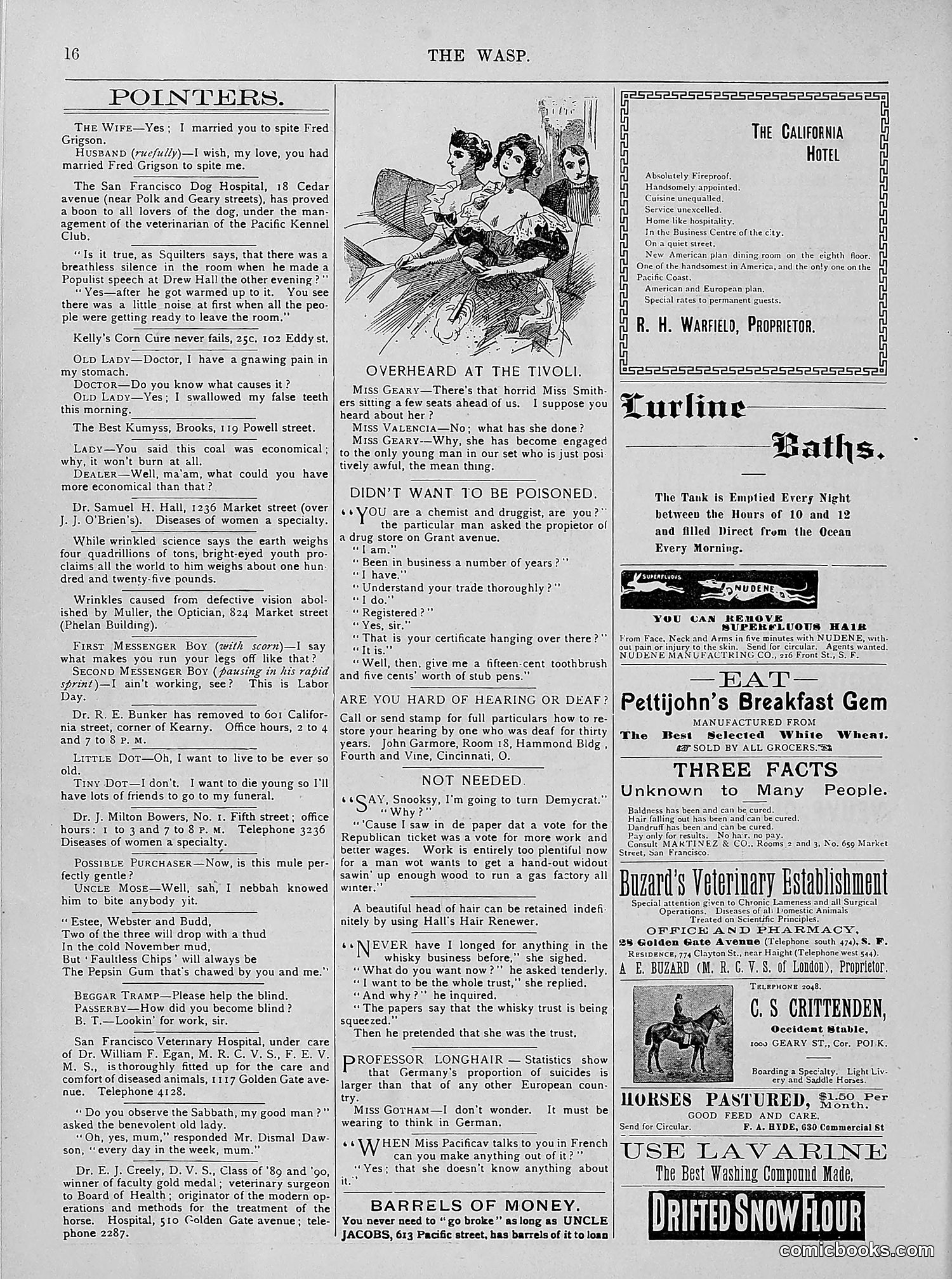 The Wasp — 1894 — page 285 of 524