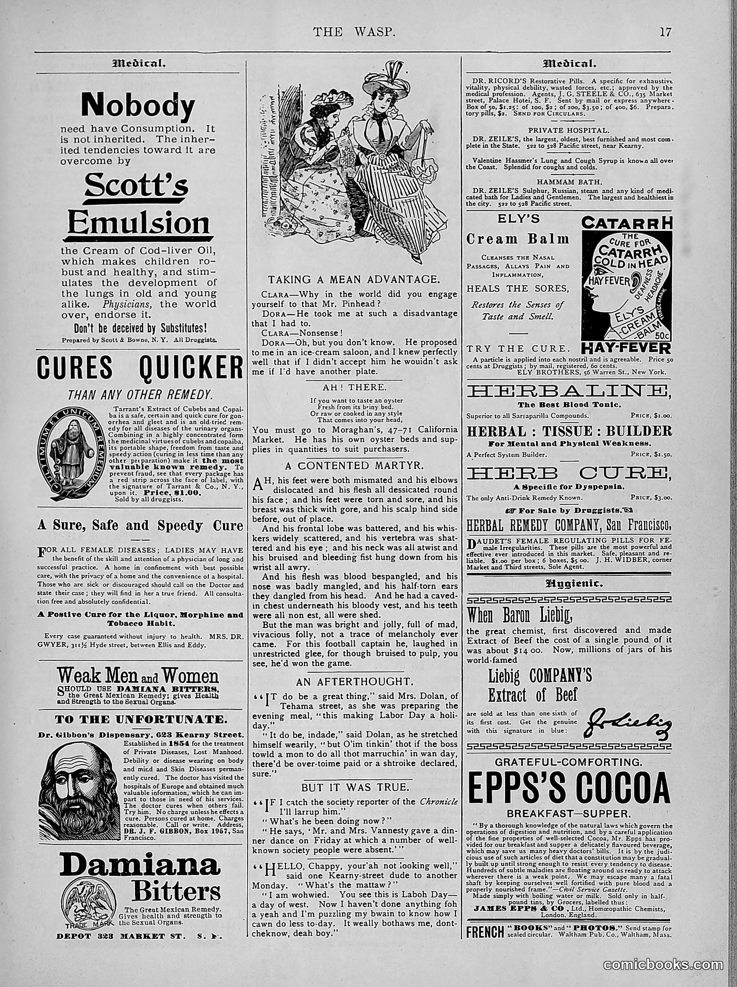 The Wasp — 1894 — page 286 of 524