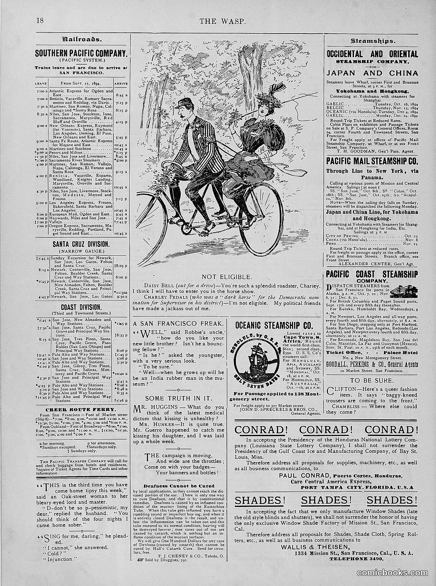 The Wasp — 1894 — page 287 of 524