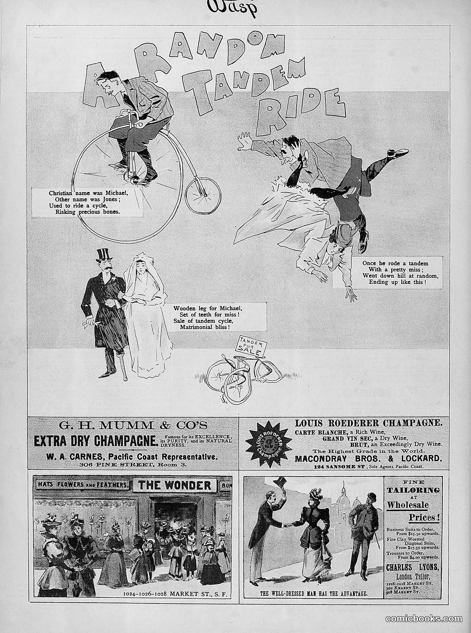 The Wasp — 1894 — page 289 of 524