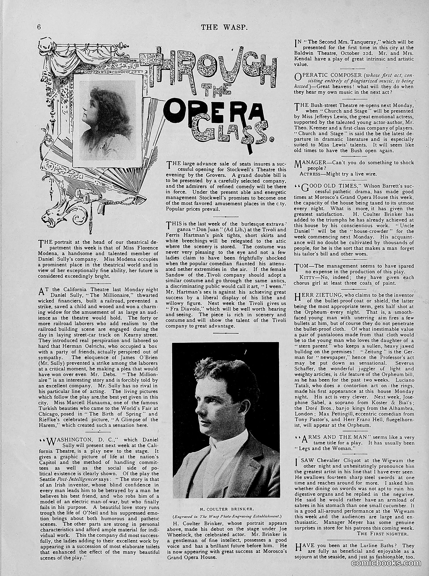 The Wasp — 1894 — page 295 of 524