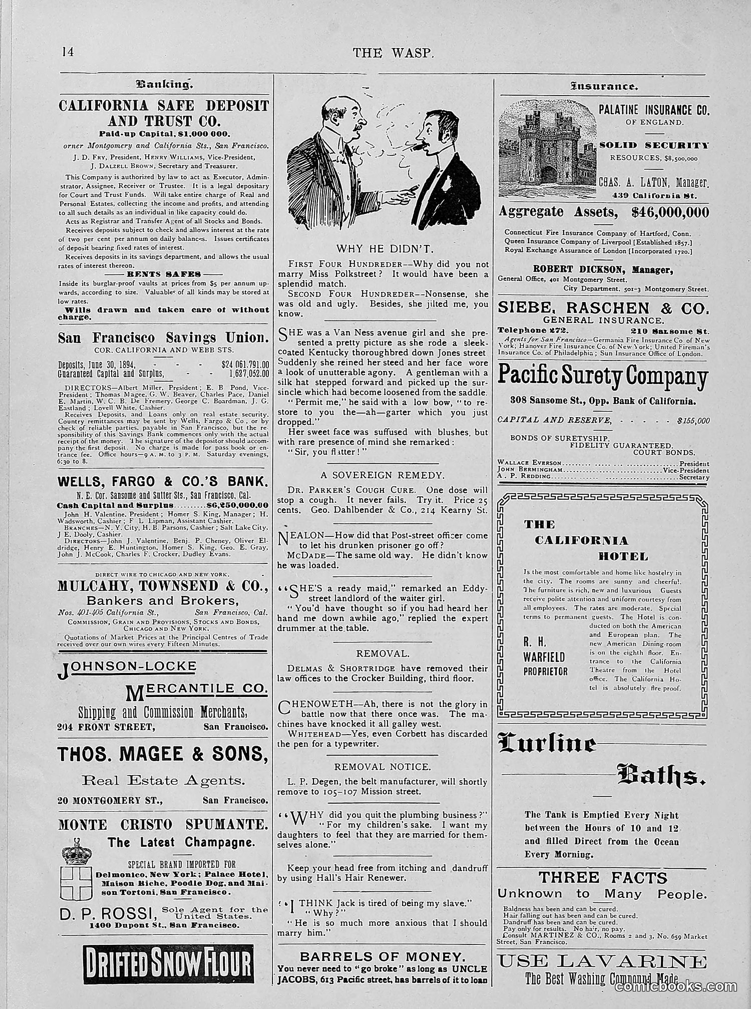 The Wasp — 1894 — page 303 of 524