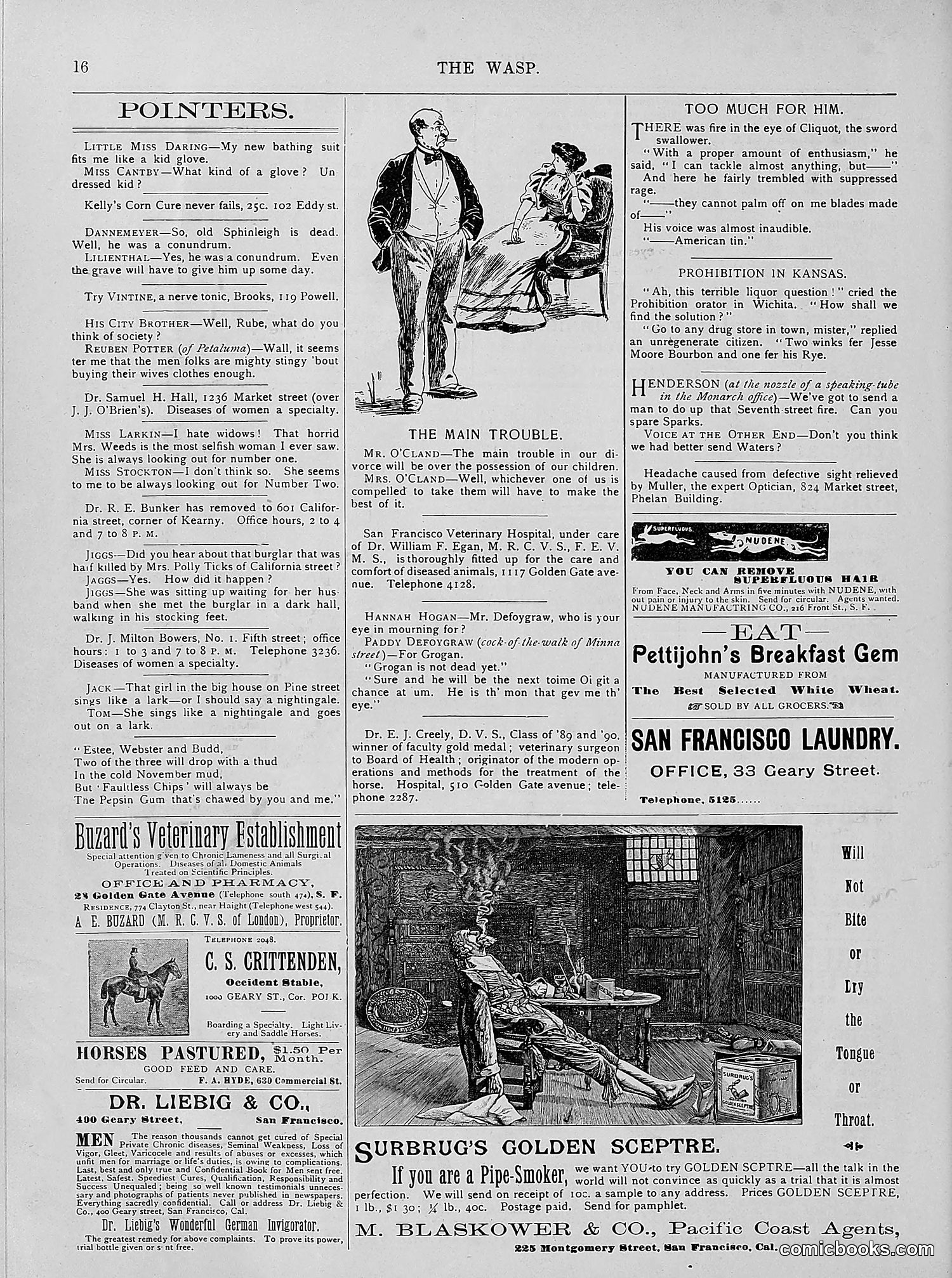 The Wasp — 1894 — page 305 of 524
