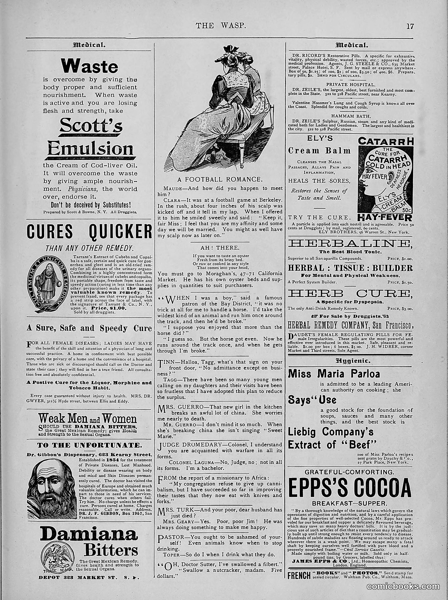 The Wasp — 1894 — page 306 of 524