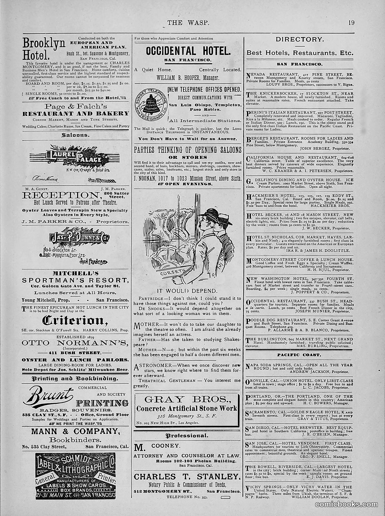 The Wasp — 1894 — page 308 of 524