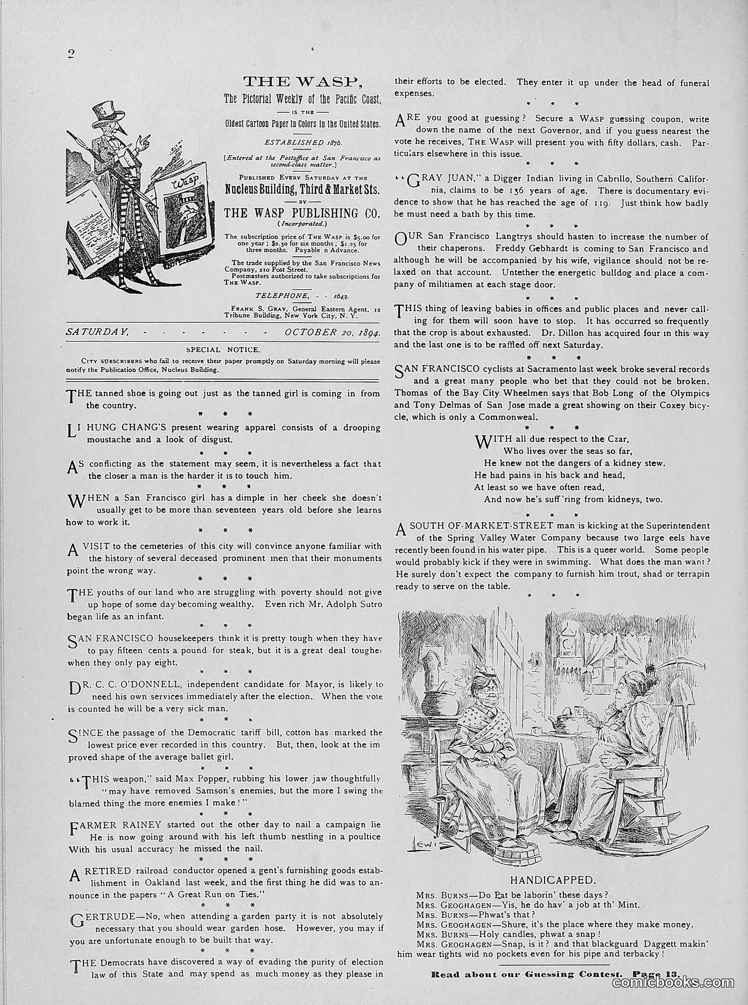 The Wasp — 1894 — page 311 of 524