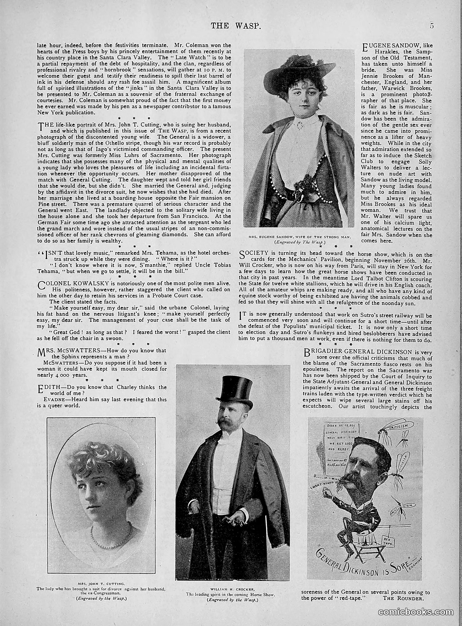 The Wasp — 1894 — page 314 of 524