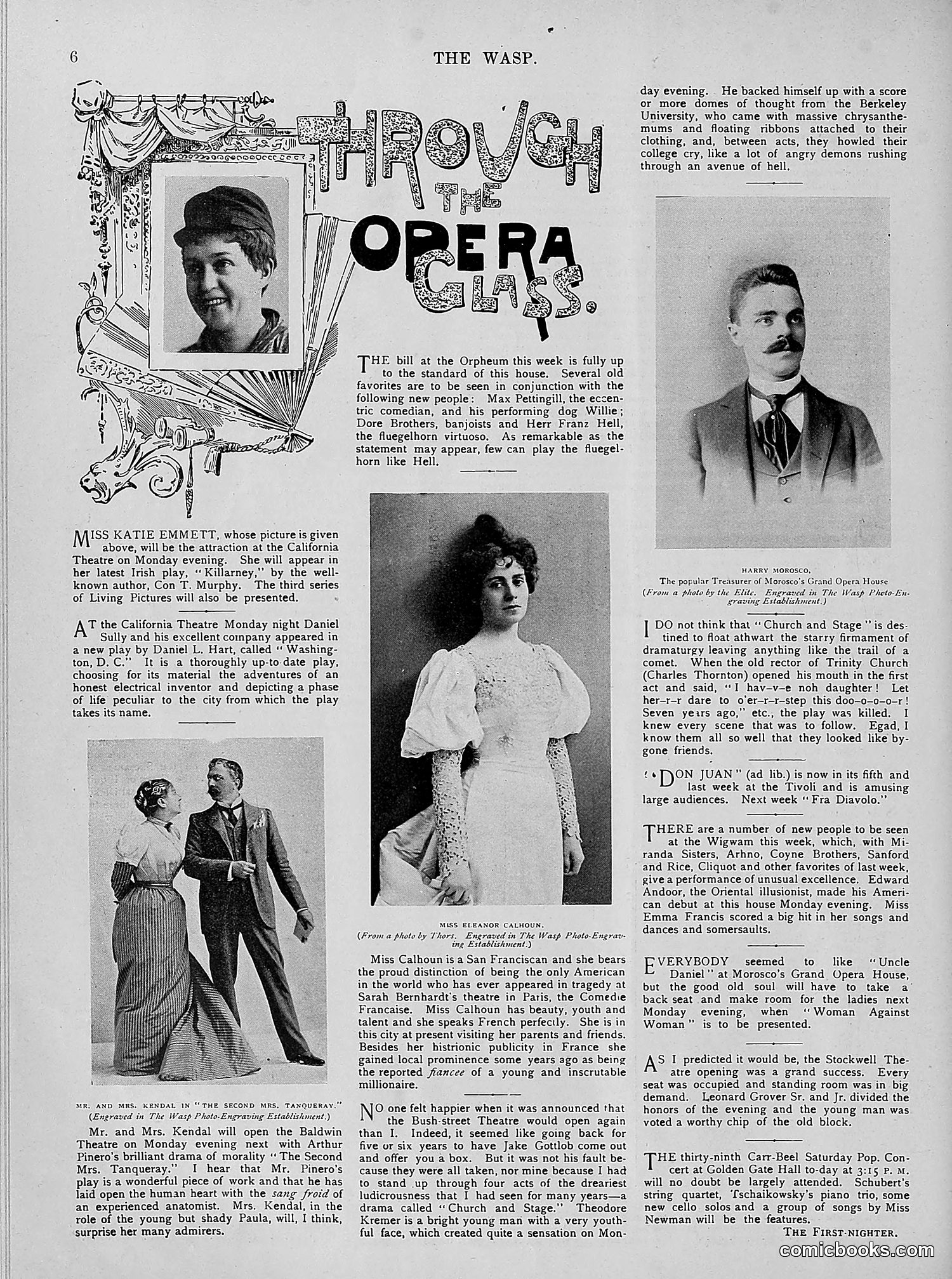 The Wasp — 1894 — page 315 of 524